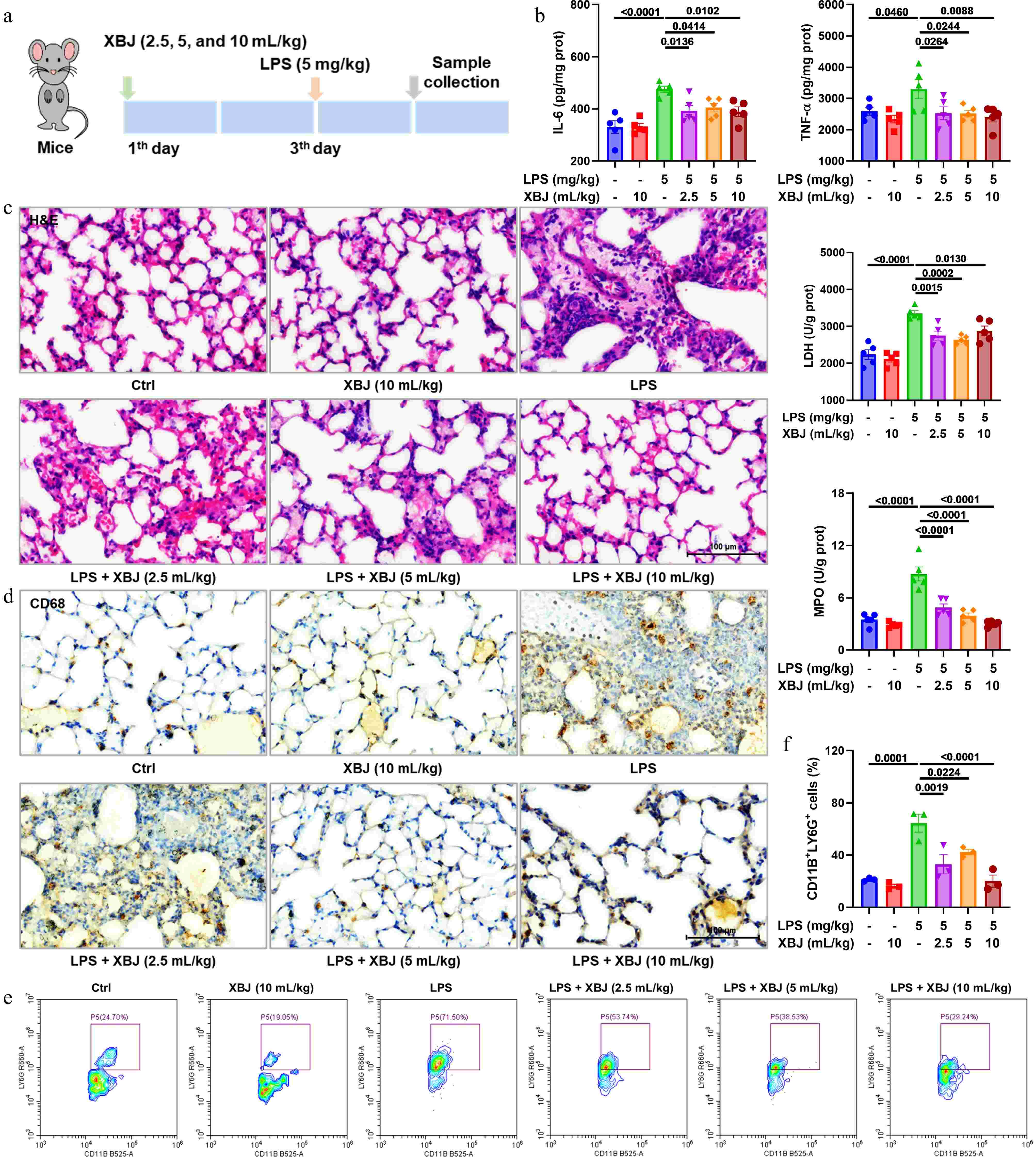Xuebijing injection ameliorates LPS-mediated acute lung injury via