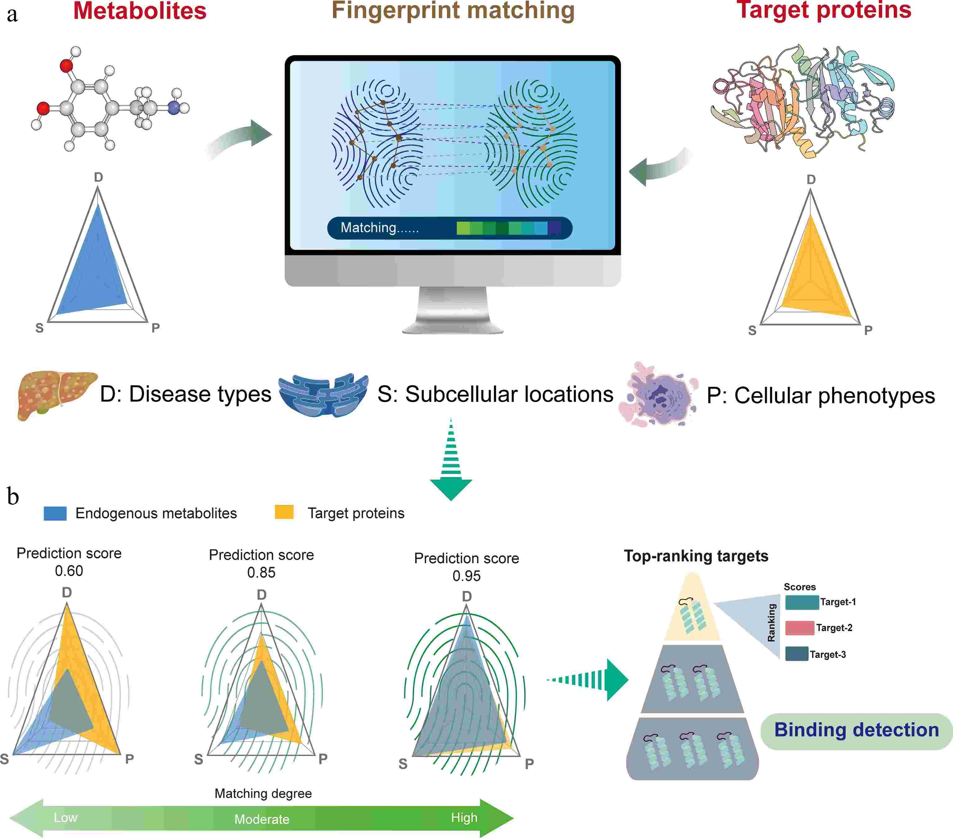 : lipo-mino-mix-c suggest cpt code DeepETD a novel deep-learning based model for endogenous metabolite target discovery GHK-Cu Nasal Spray Canada l carnitine pre workout Taglia:Maxxi Convenienza