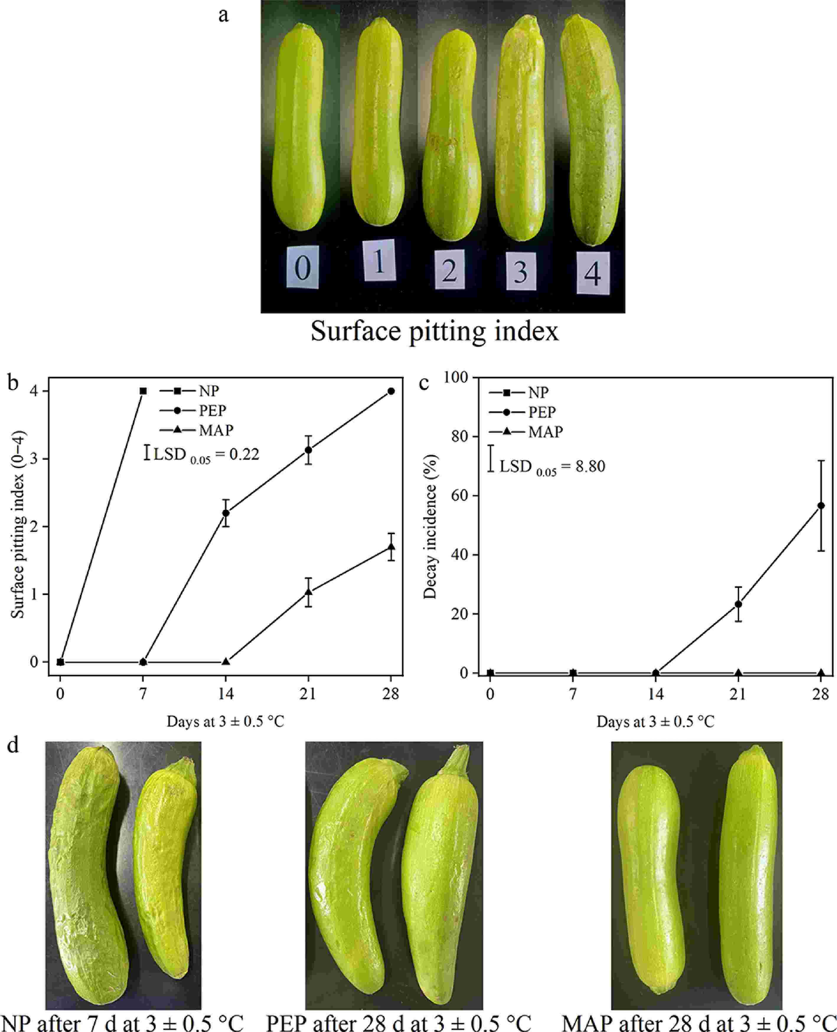 betaine hcl and glutathione synergy Betaine Hcl main image 0