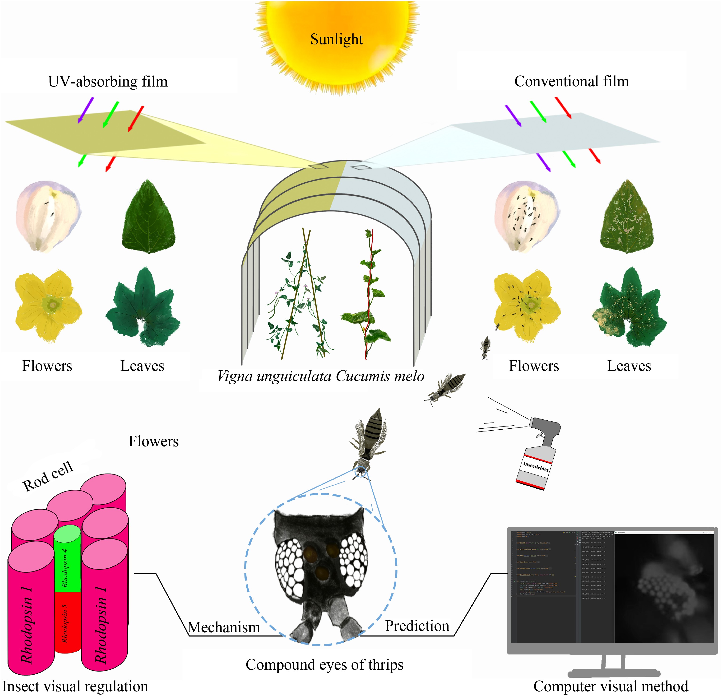 Graphical Abstract