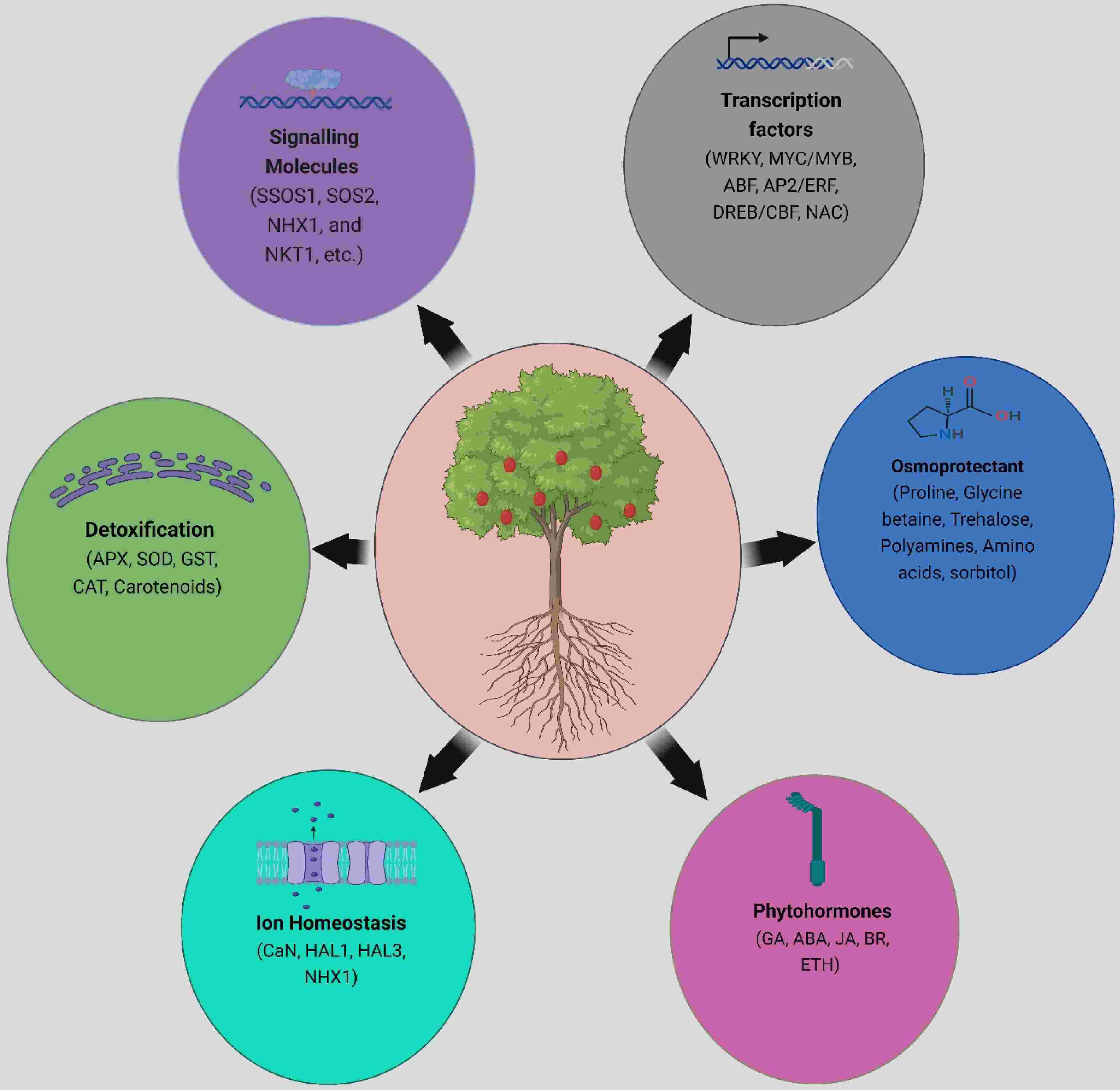 Tongfang (Jo) Zhou - Morgan Stanley | LinkedIn, image size:3780x3679