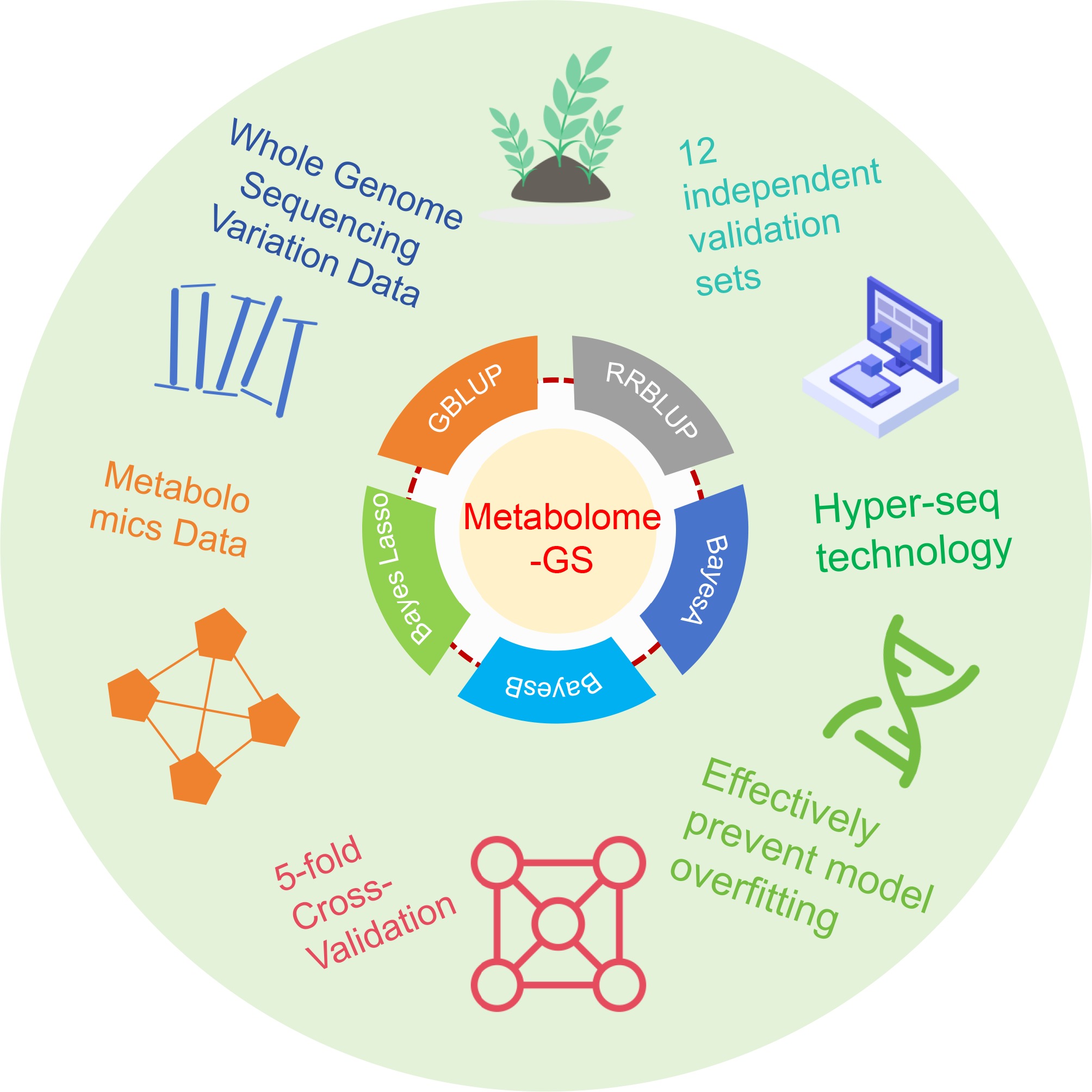 Graphical Abstract