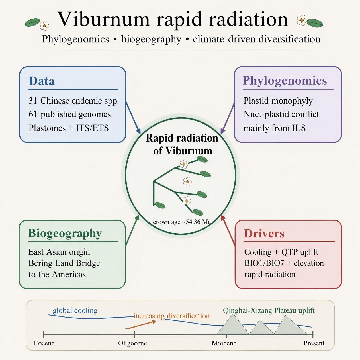 Graphical Abstract