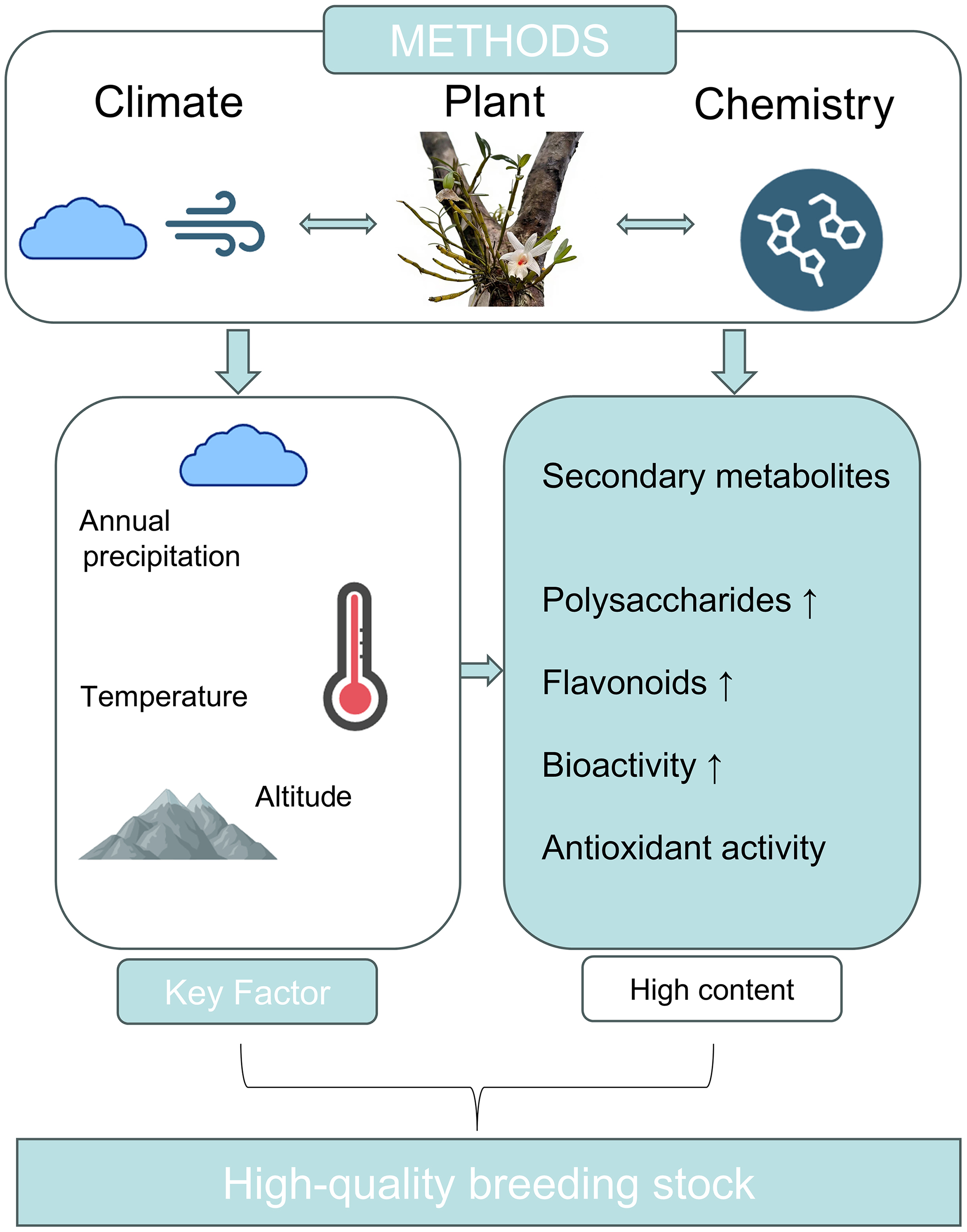 Graphical Abstract