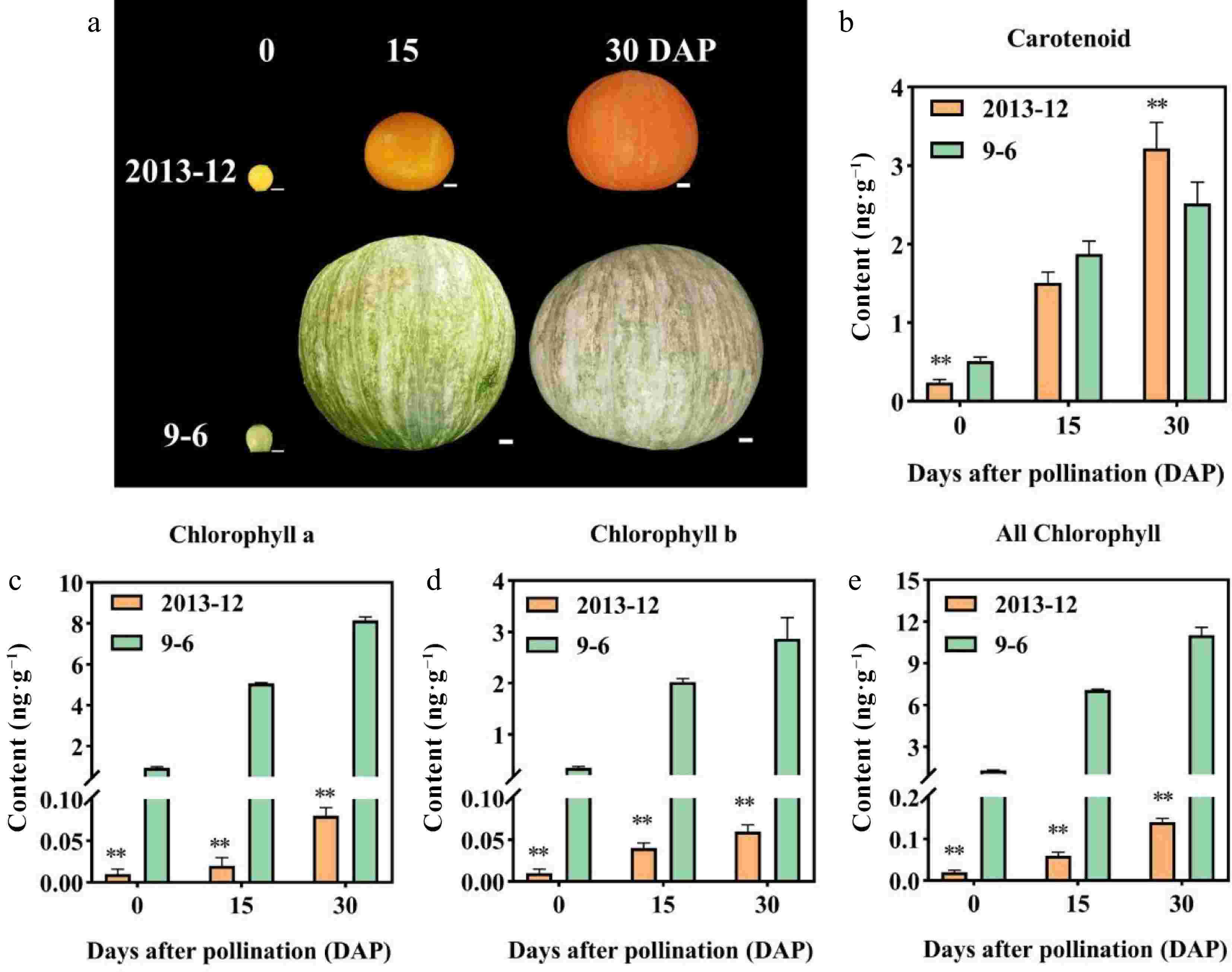 Combined analysis of carotenoid and chlorophyll metabolite and the