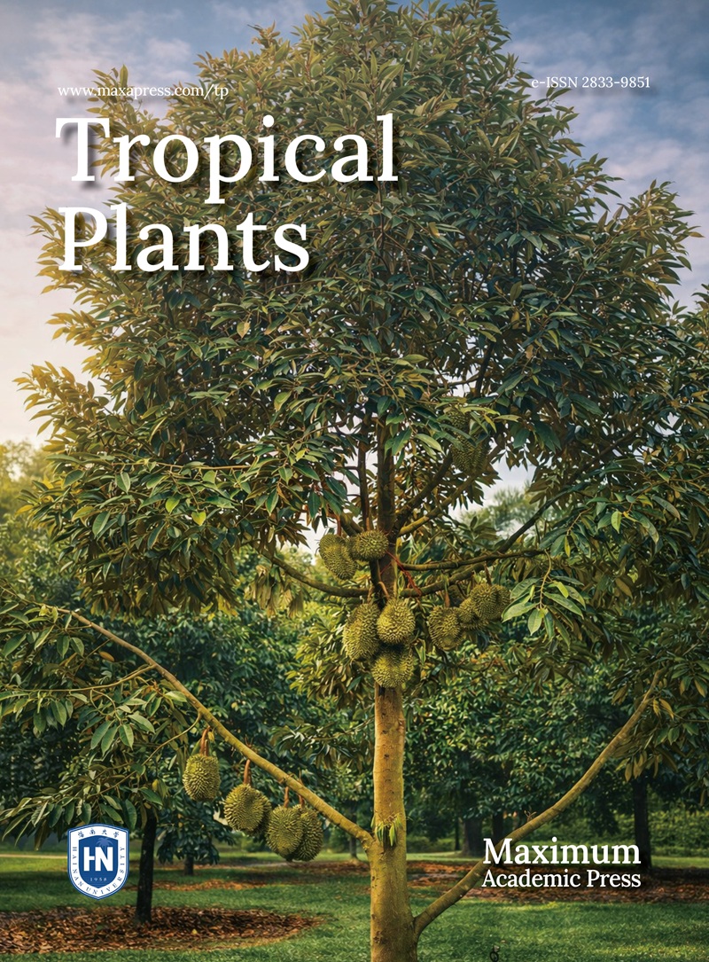 Tropical Plants