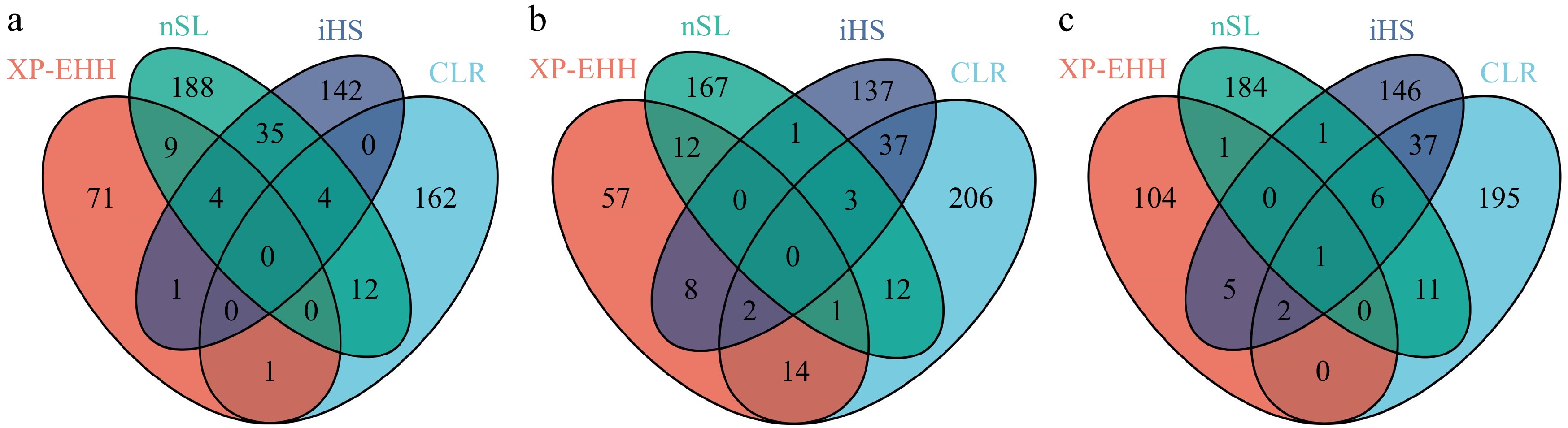 Genome-wide selection signature analysis identified new candidate genes ...