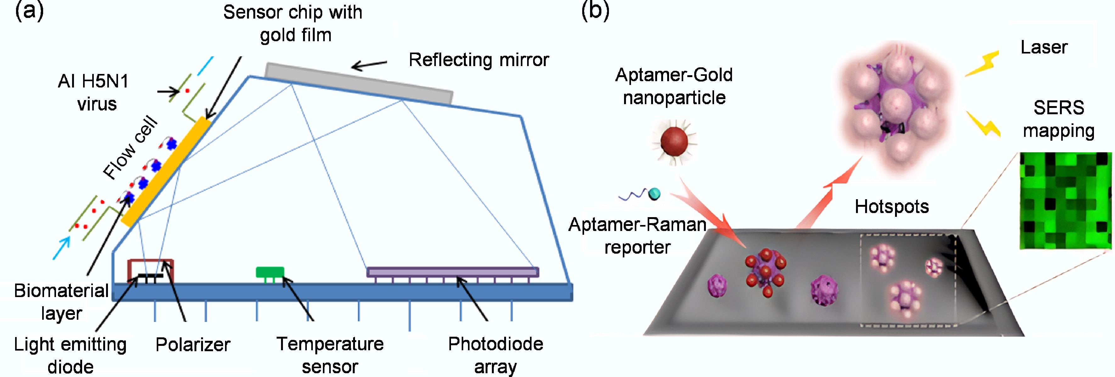 Recent advances in aptamer-based biosensors for viral detection
