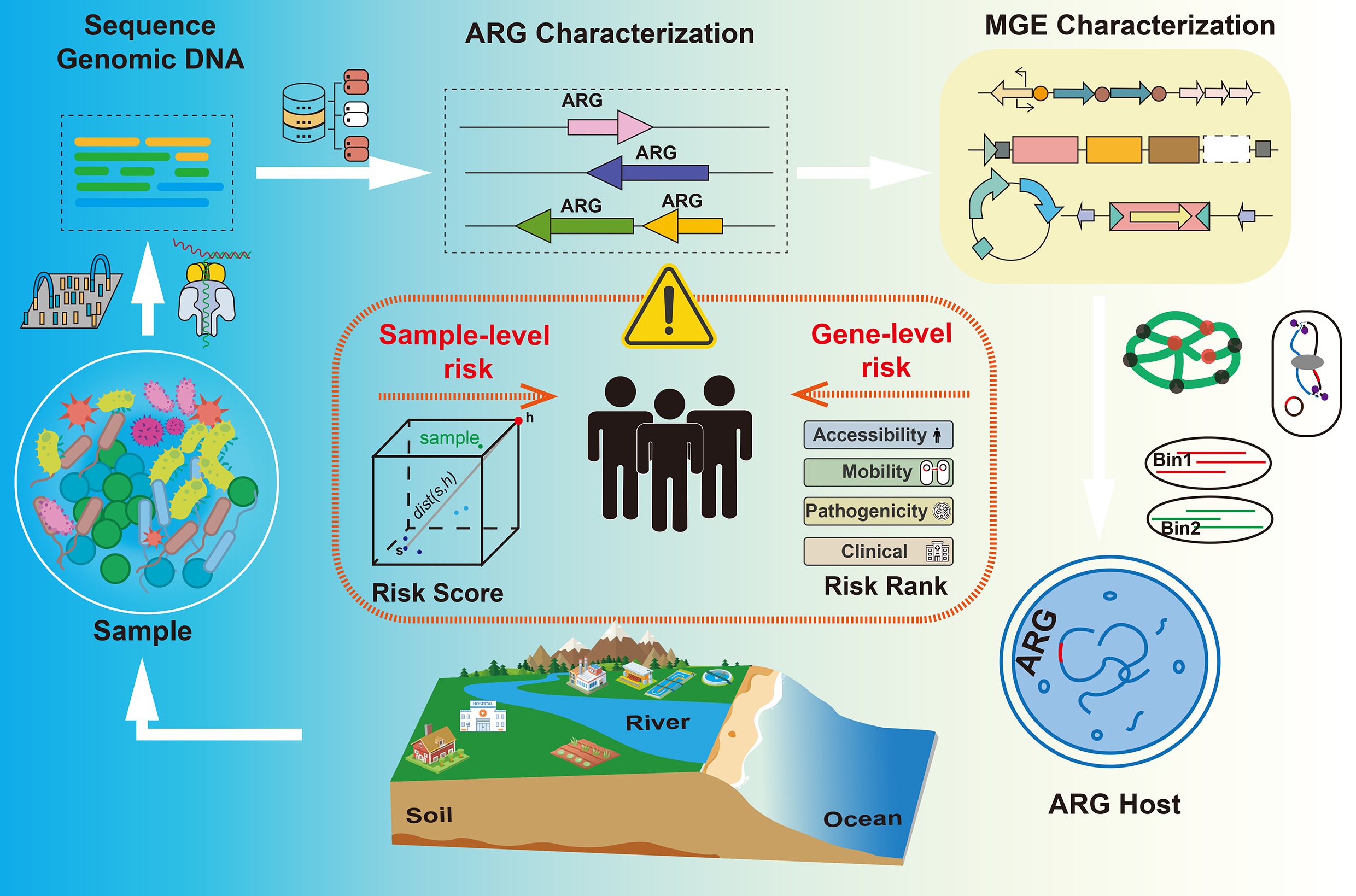 Profile surveillance and risk assessment of the environmental dimension ...