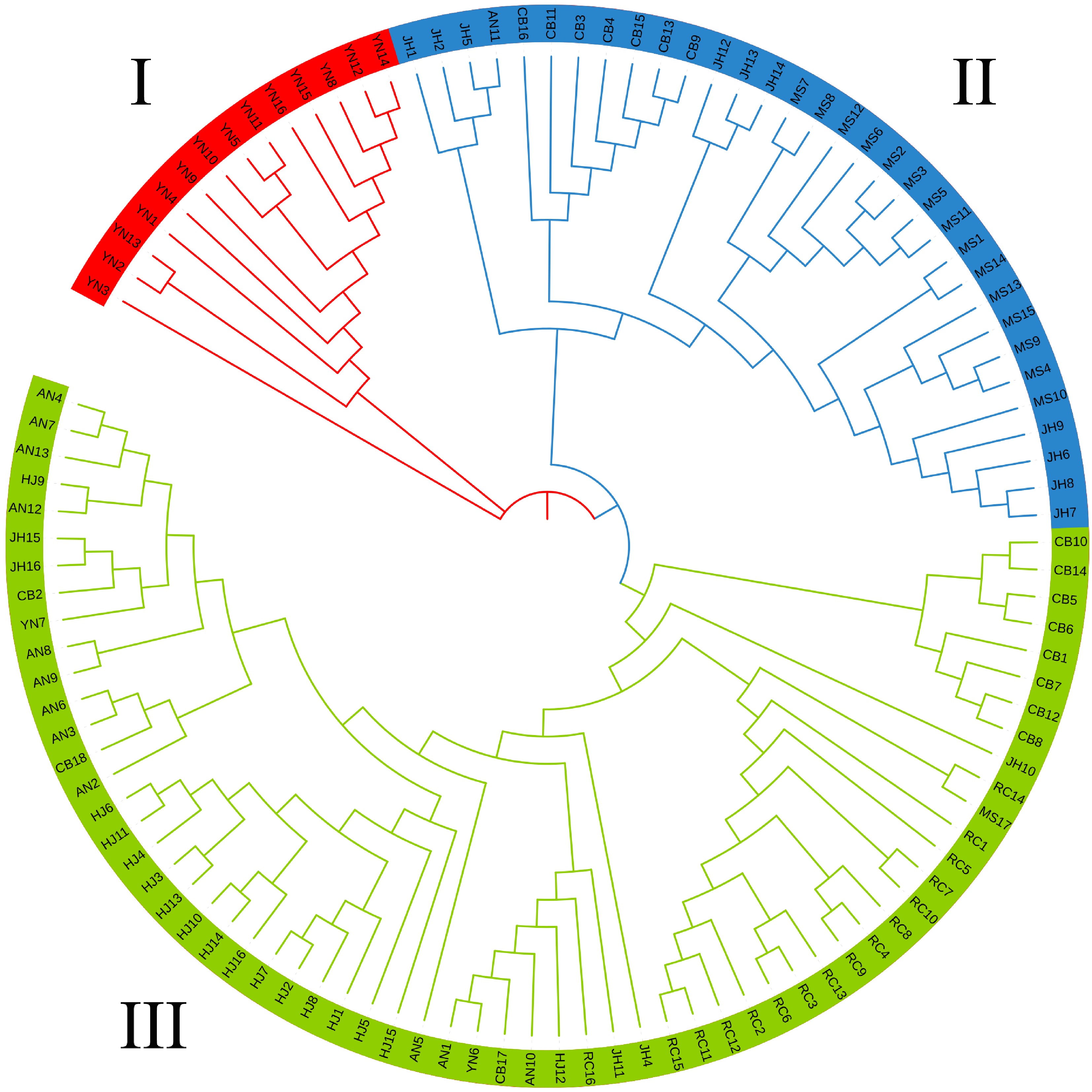 Genetic Diversity, Population Structure And Core Collection Analysis Of ...