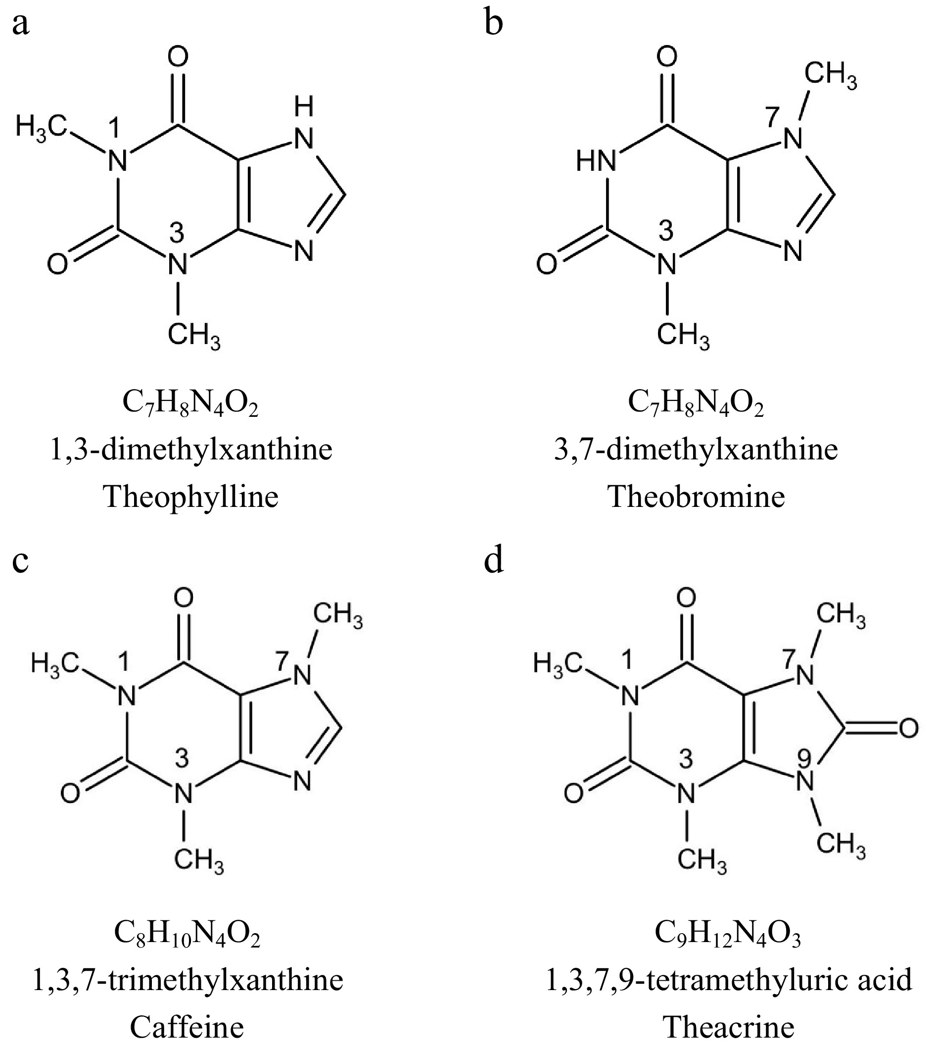 Alkaloid Caffeine