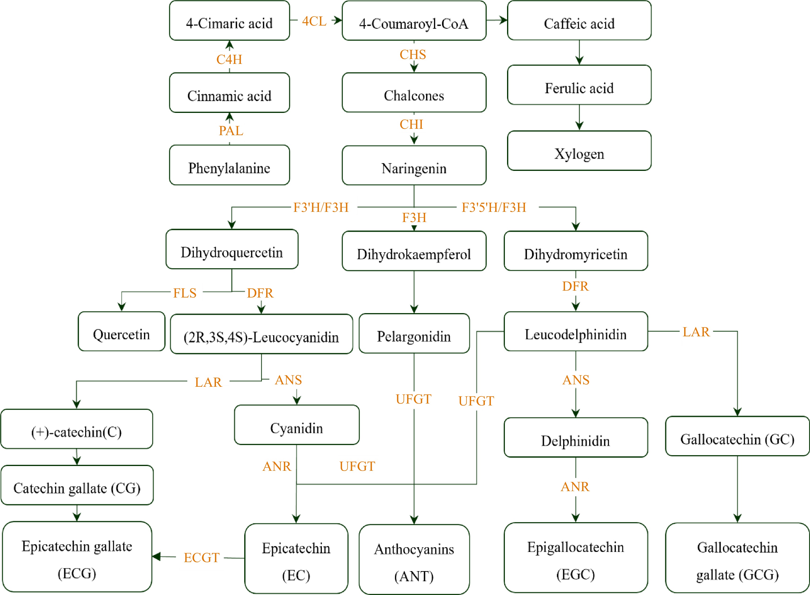 Achievements and prospects of QTL mapping and beneficial genes and ...