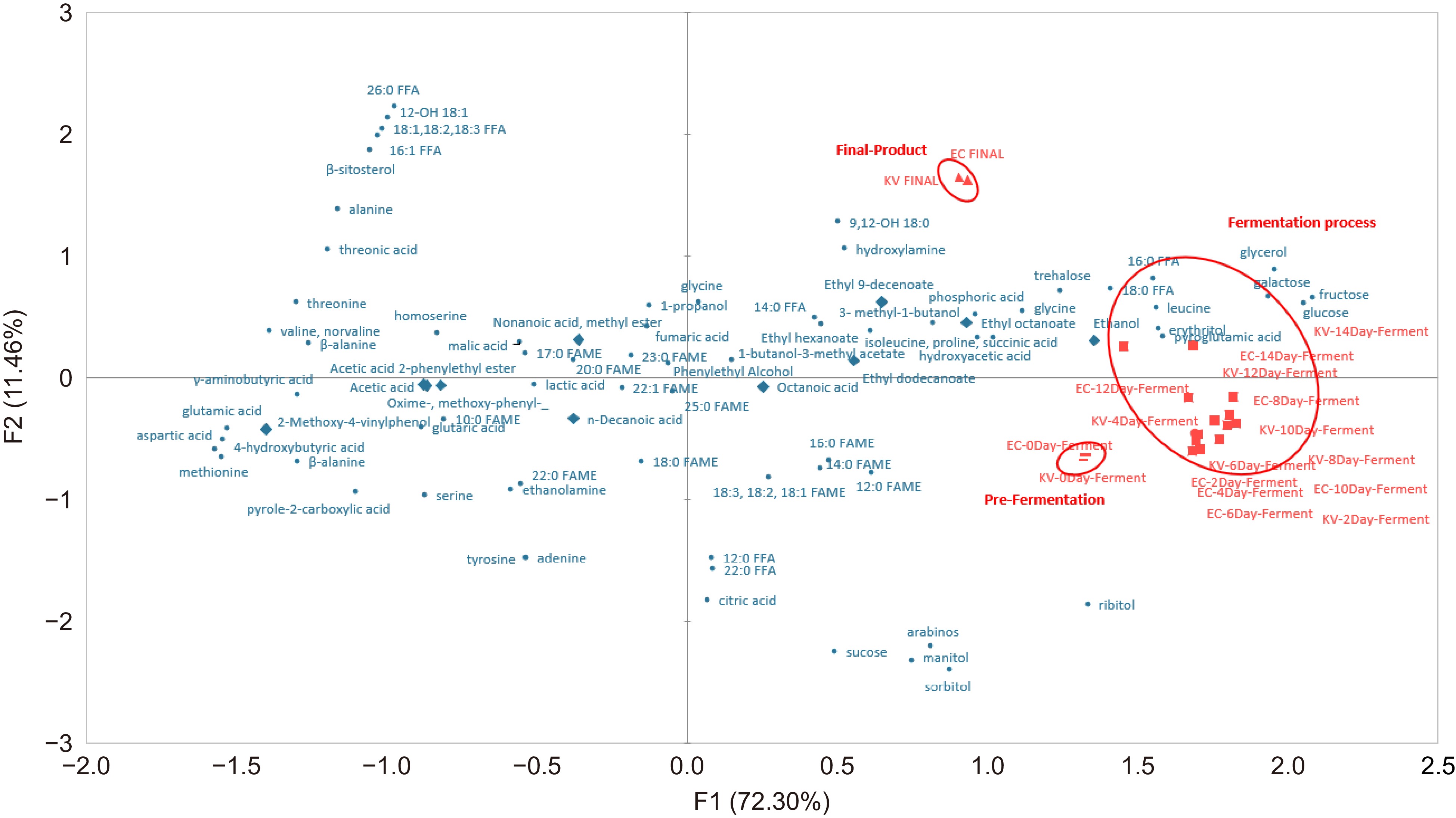 Fermentation Map Effect of two yeast strains and fermentation time on metabolomics and ...