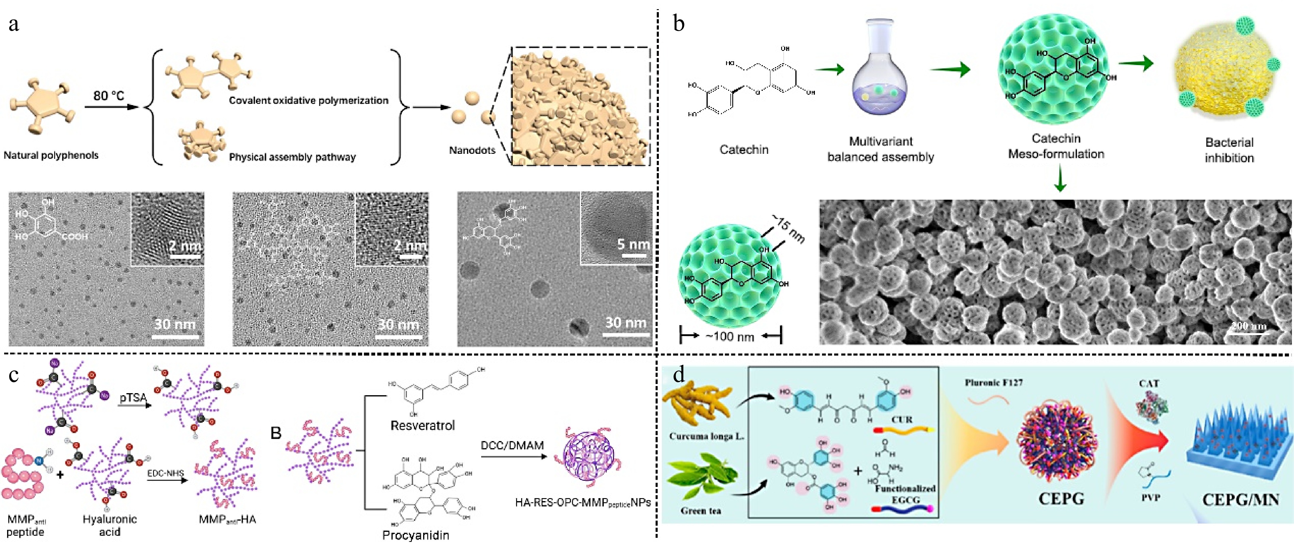 Recent advances in tea and other plant polyphenol biomaterials for ...