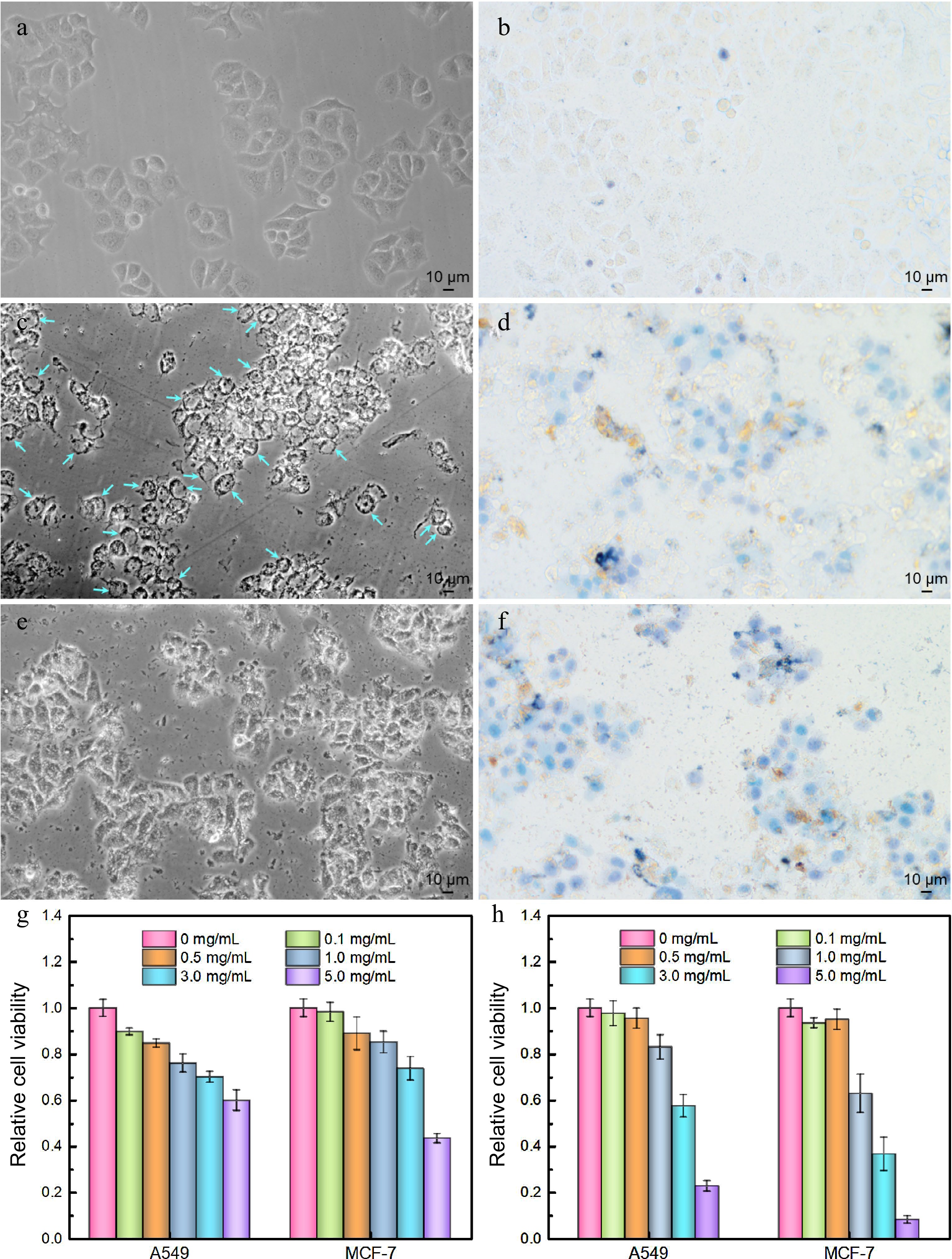 Boronate Affinity-mediated Magnetic Solid Phase Extraction And ...