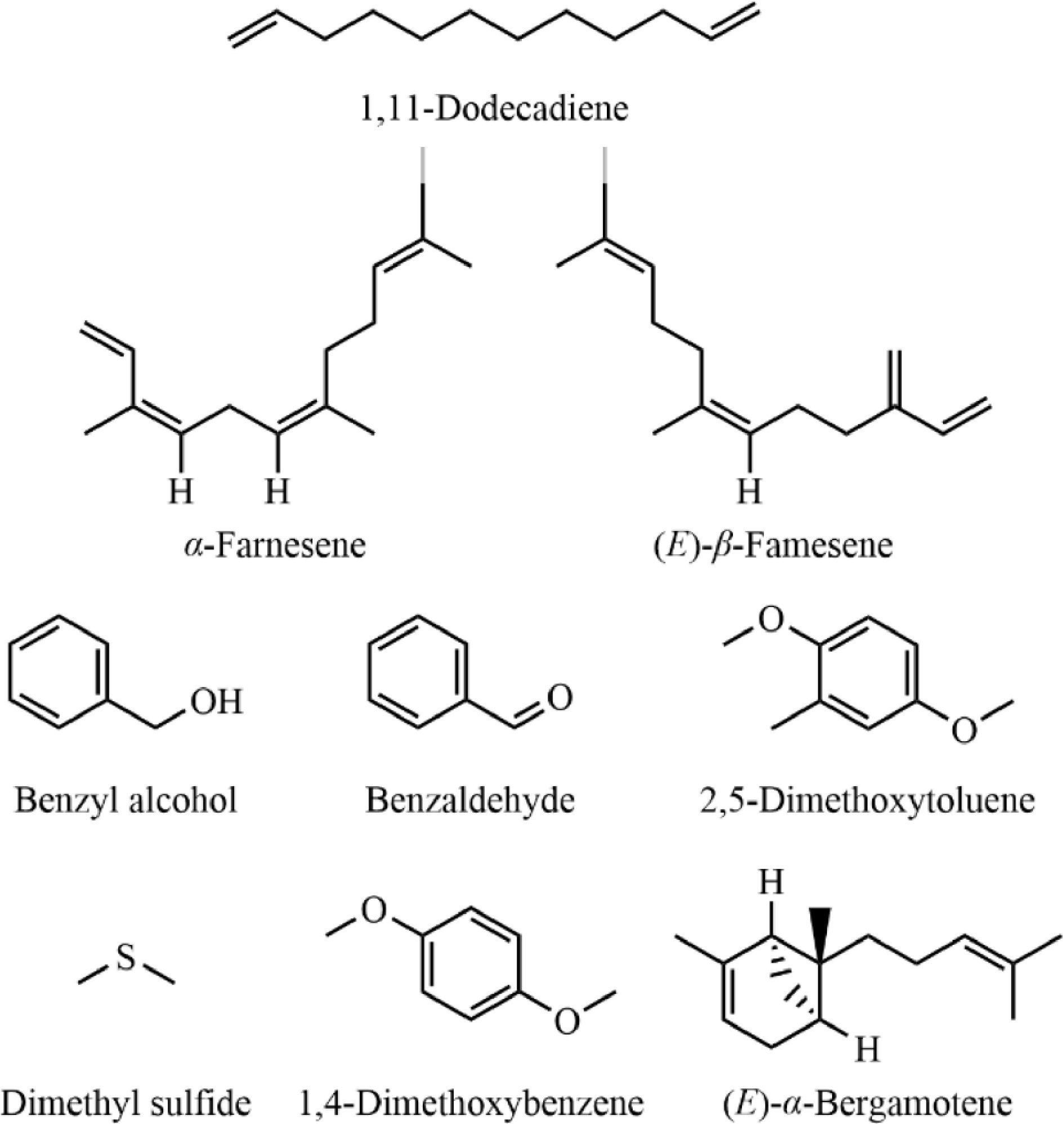 Comprehensive study of nonvolatile and volatile metabolites in five