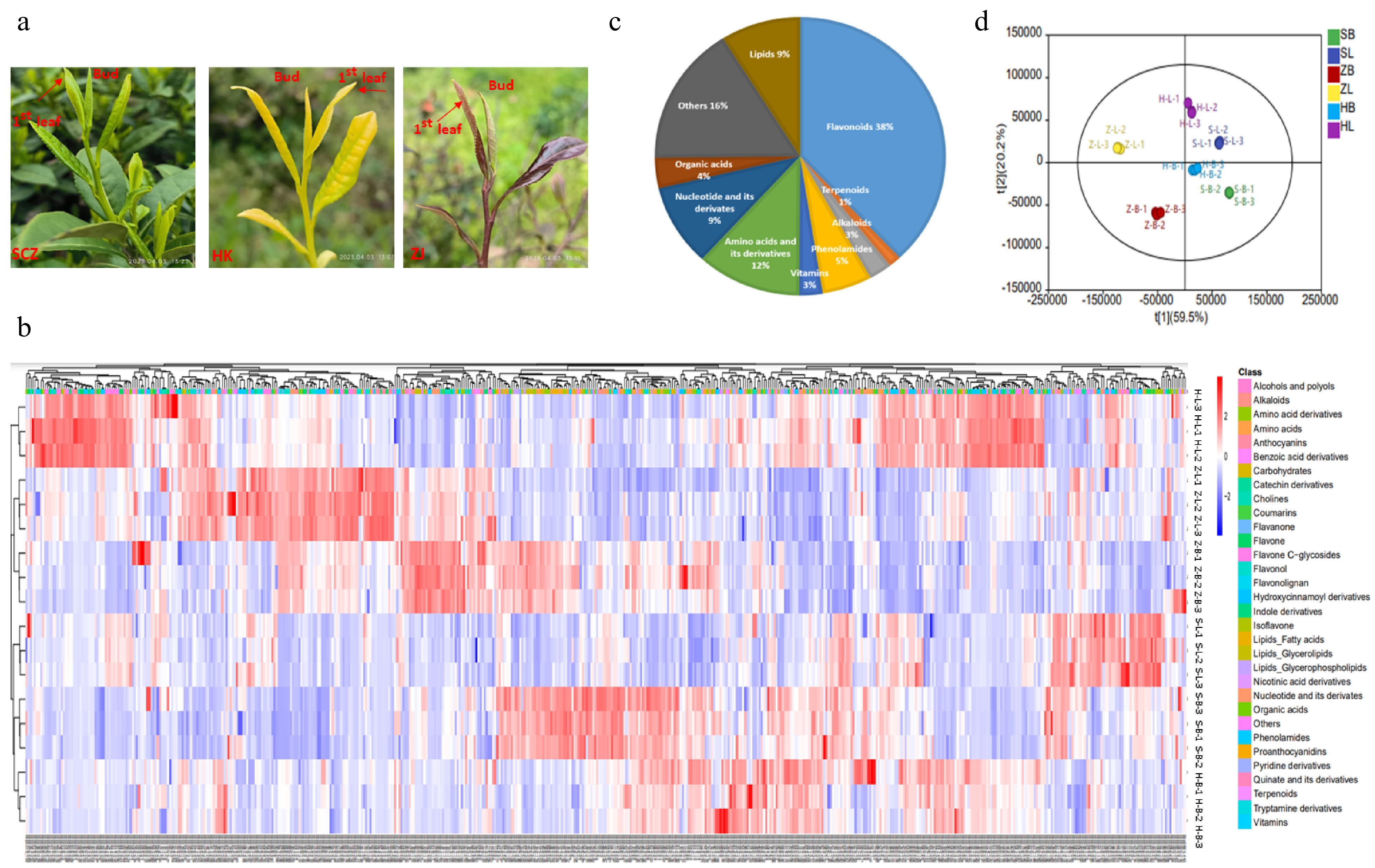 Metabolome Profiling Unveil The Composition Differences Of Quality Of