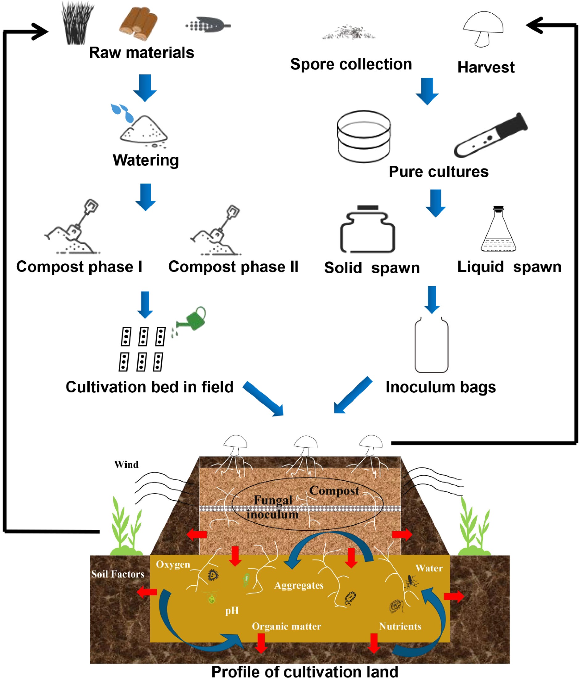 Mushroom Compost The Giorgi Companies,, 52% OFF