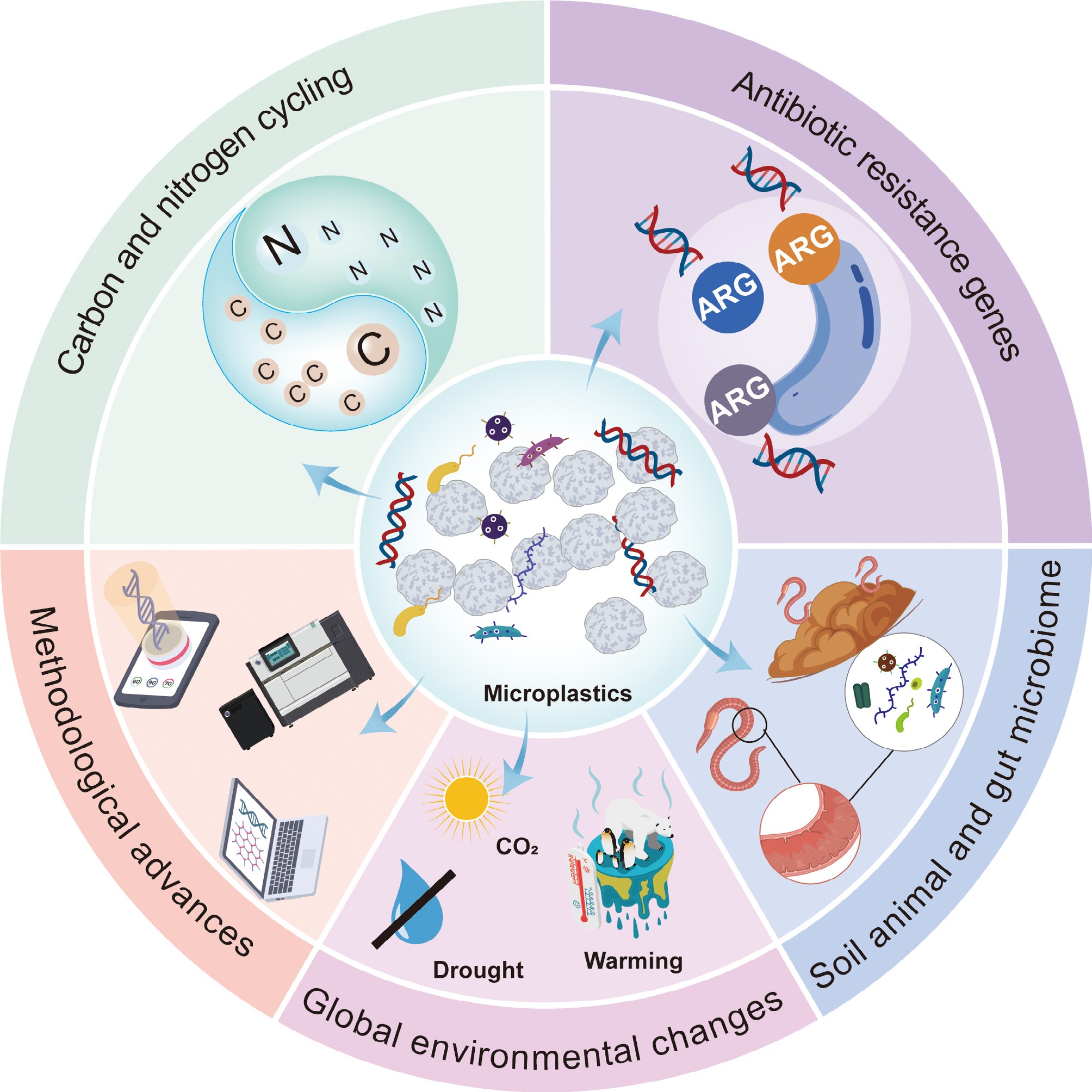 Effects of microplastic on soil ecosystems a perspective from ...