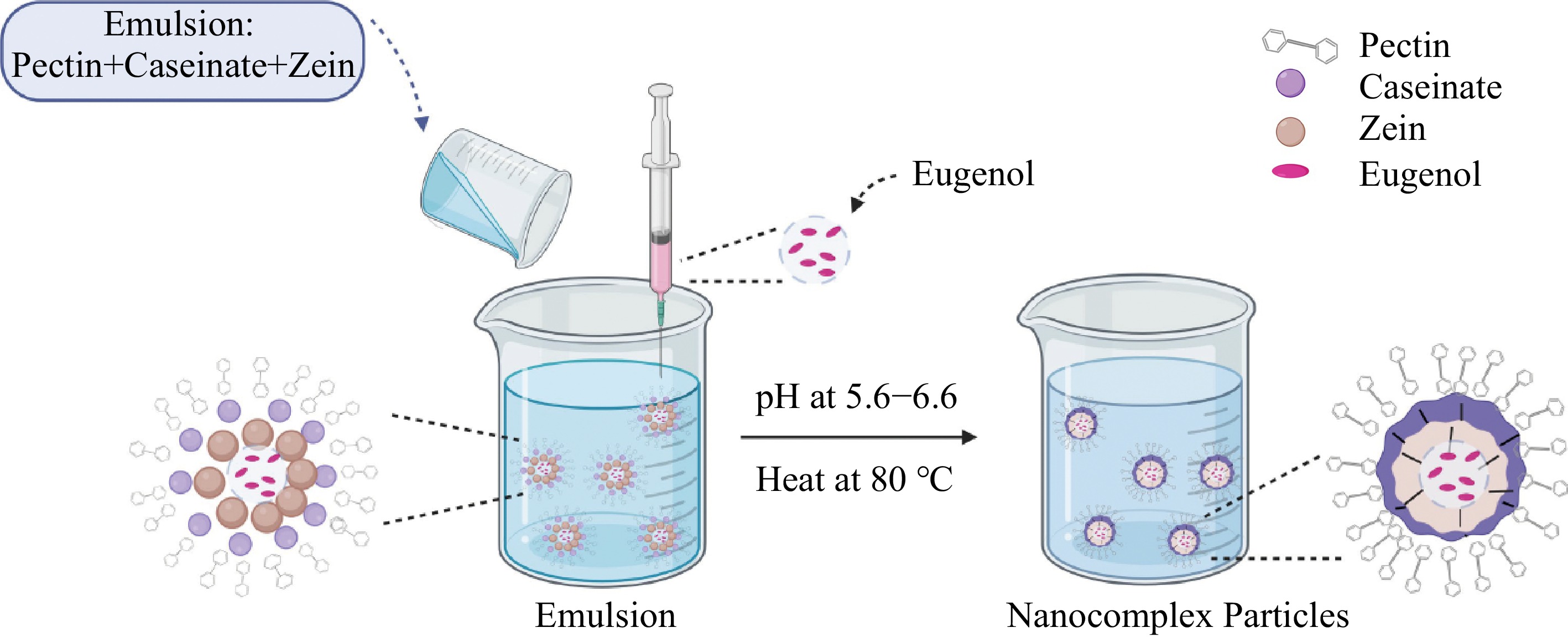 A review on protein based nanocarriers for polyphenols: interaction and ...