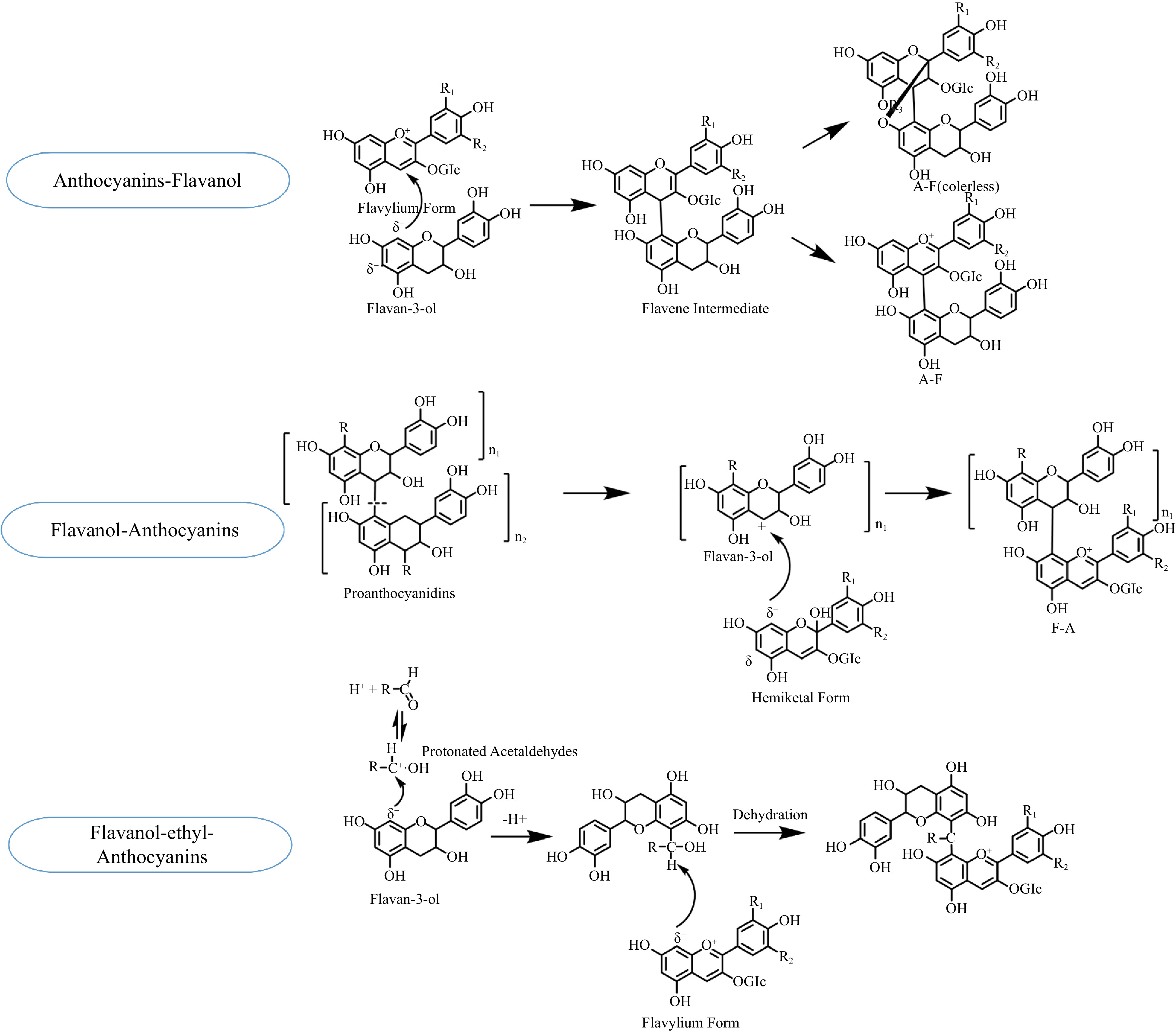 Color myth anthocyanins reactions and enological approaches achieving ...