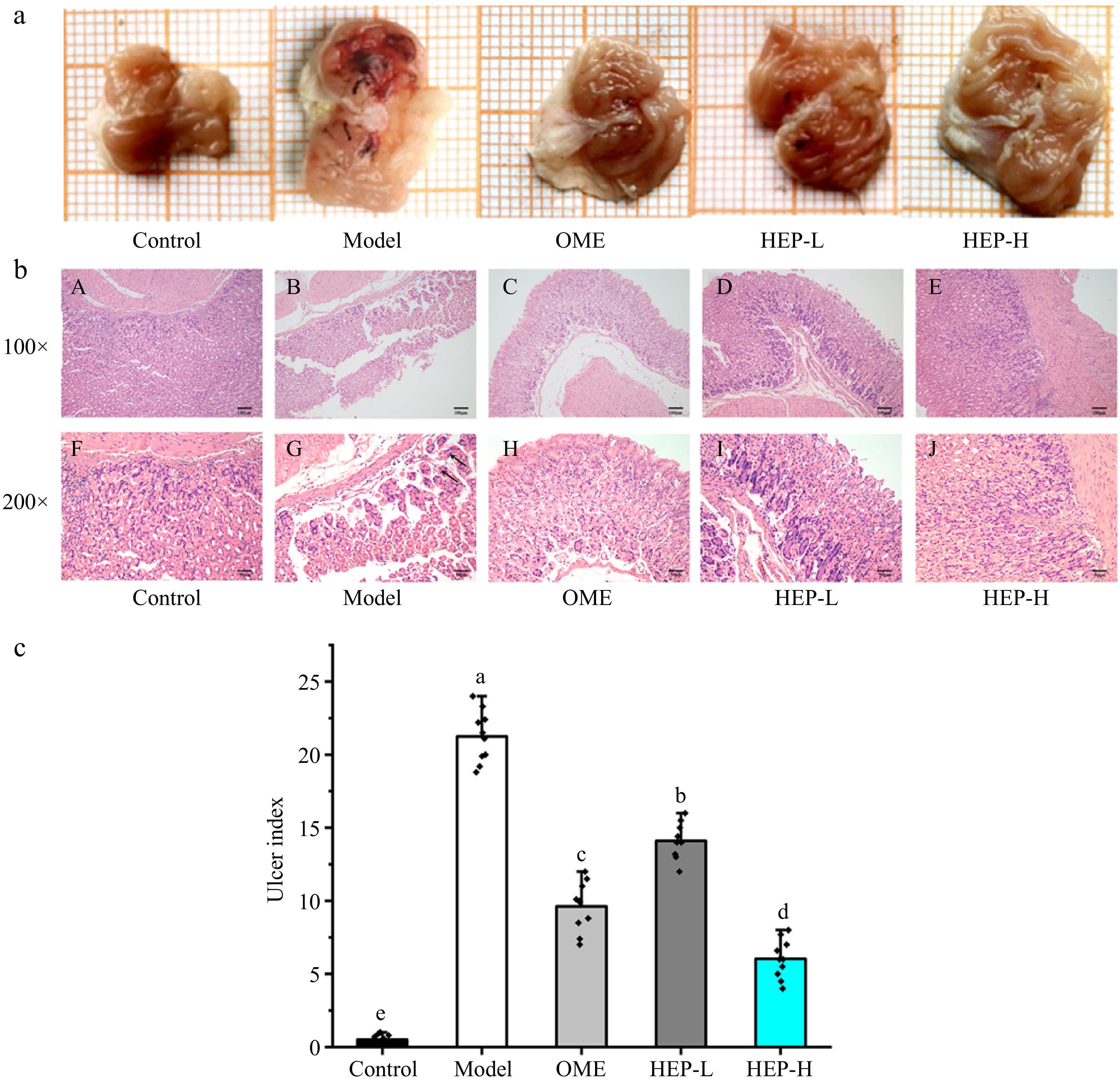 Hericium erinaceus polysaccharides (HEP) protect against gastric mucosa ...