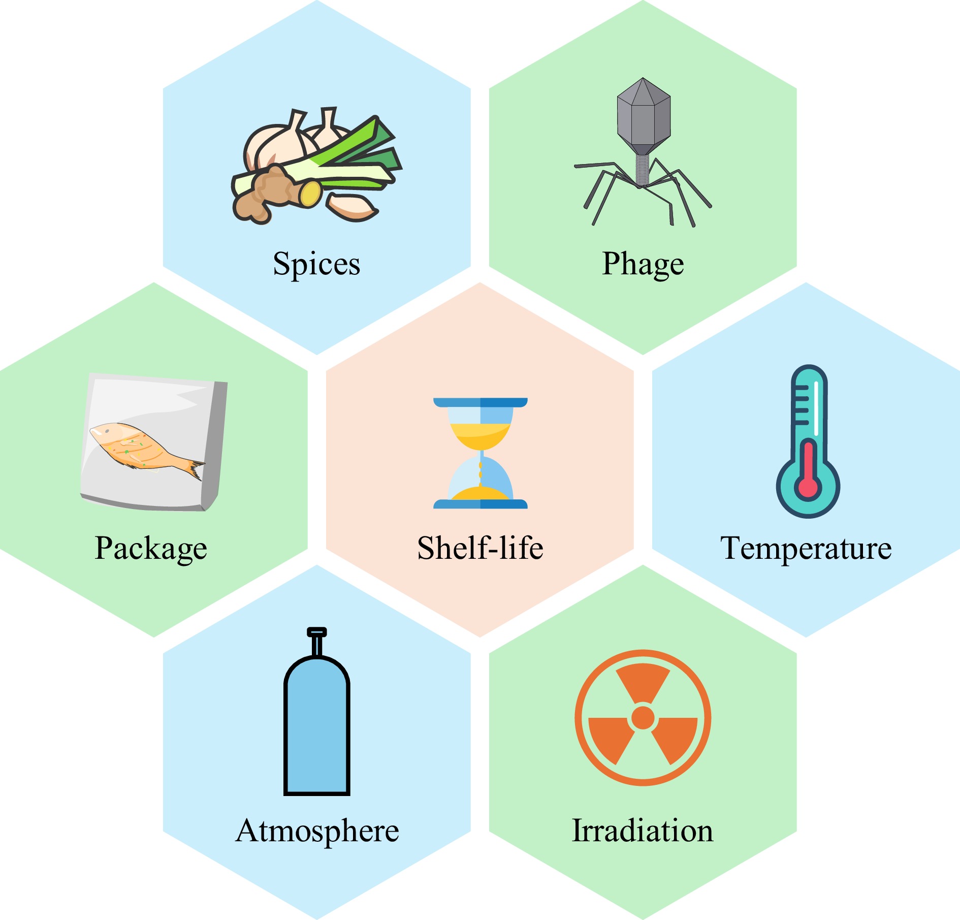 Fwermentation Fish Processing Method Advancing safer and healthier fermented fish products through ...