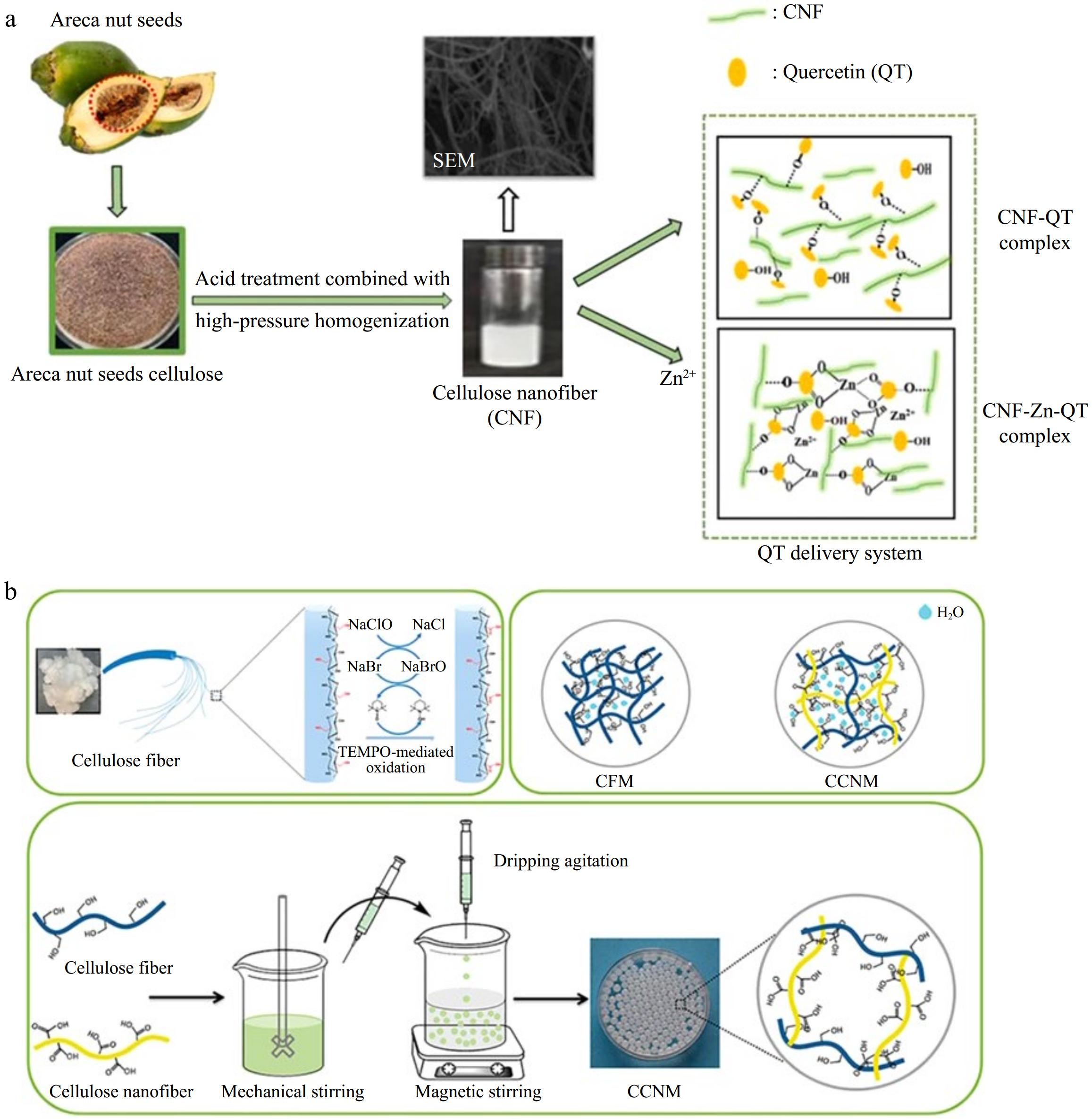 Cellulose nanofiber in the food industry a review of its applications ...