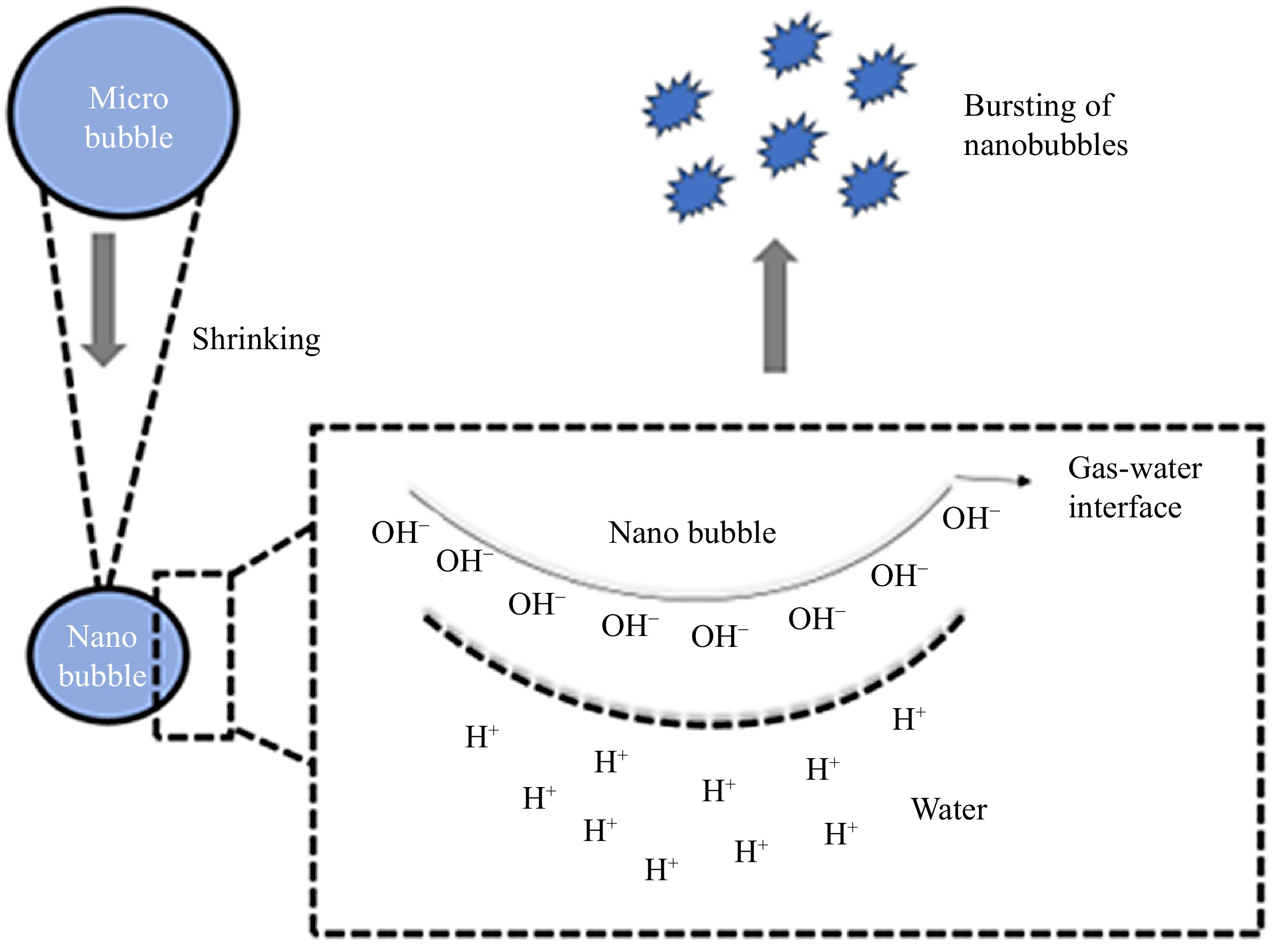 Novel Nanobubble Technology In Food Science: Application And Mechanism