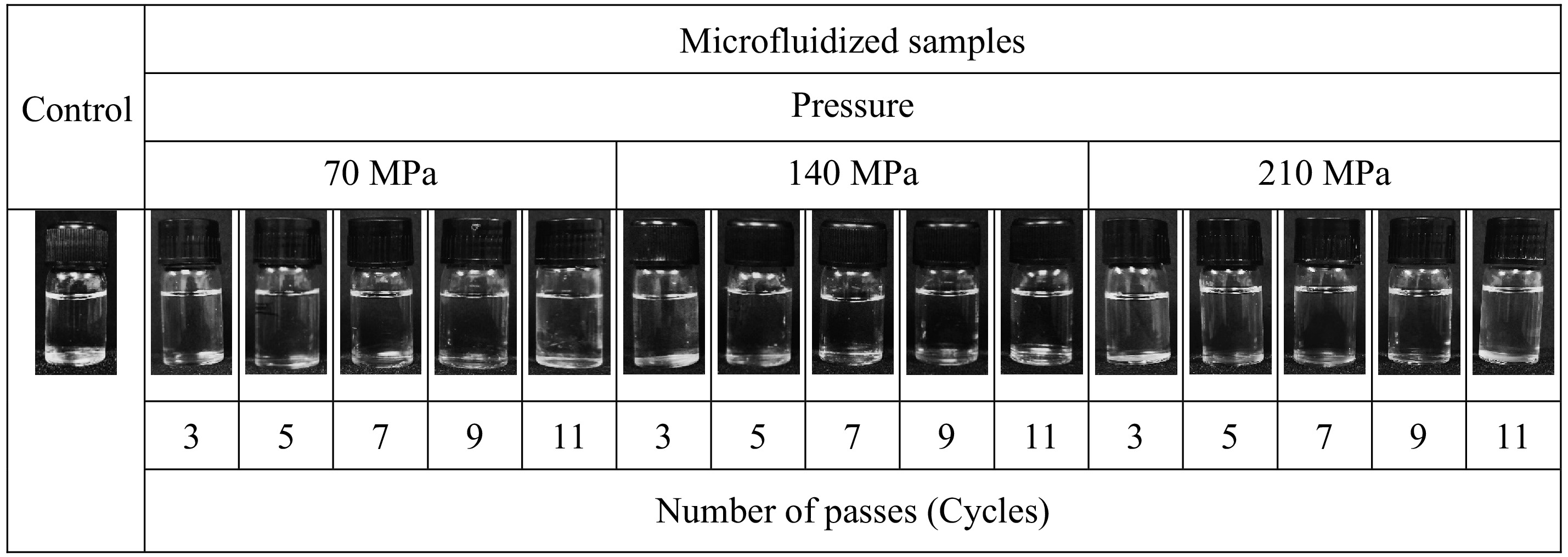 Microfluidization of tender coconut water and its impact on spoilage