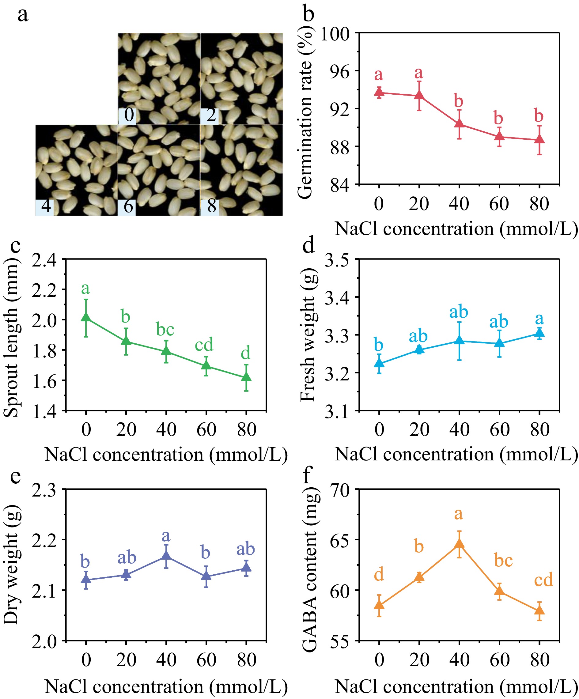 Effects of magnetic field pretreatment and chloride salt stress on ...