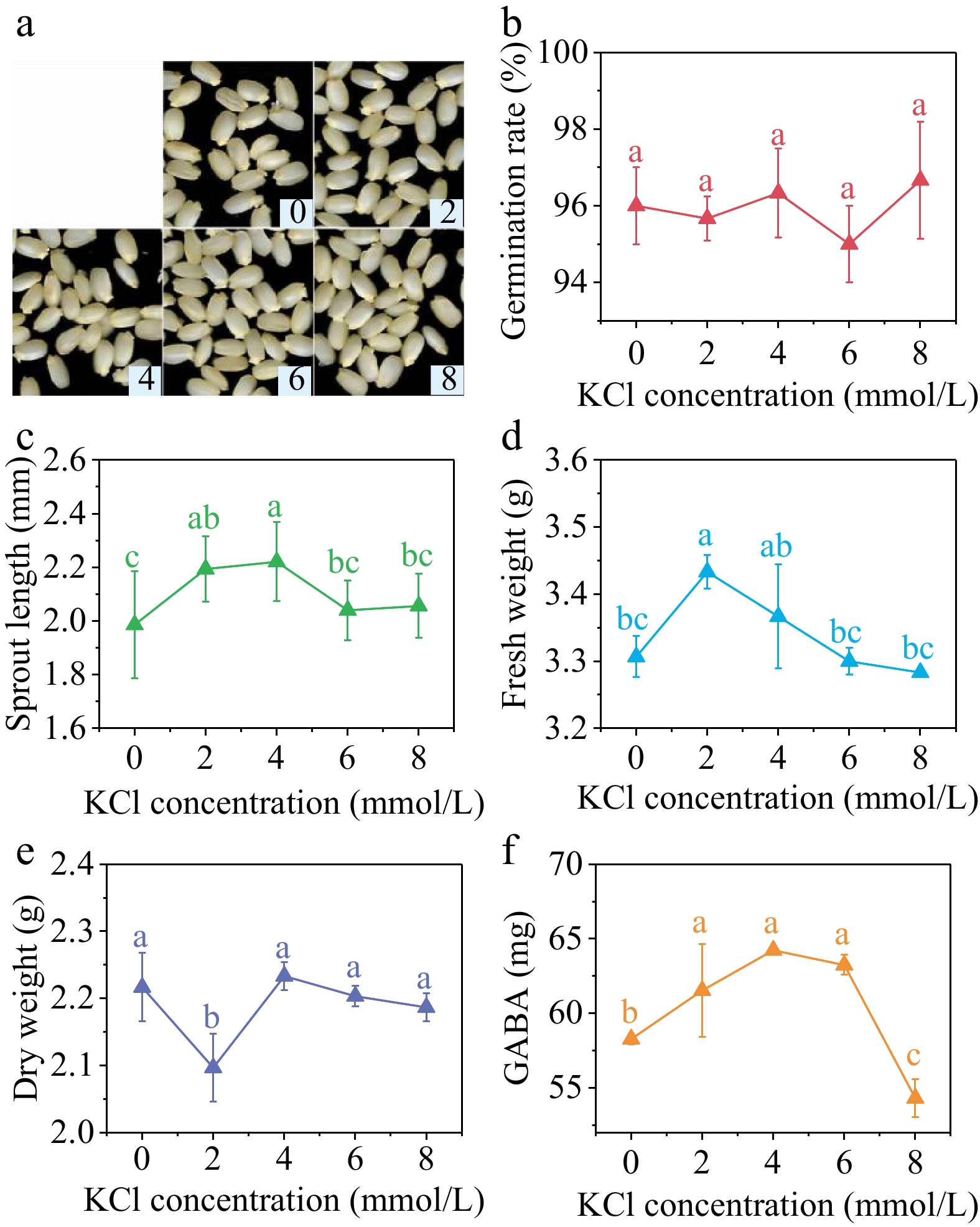 Effects of magnetic field pretreatment and chloride salt stress on ...