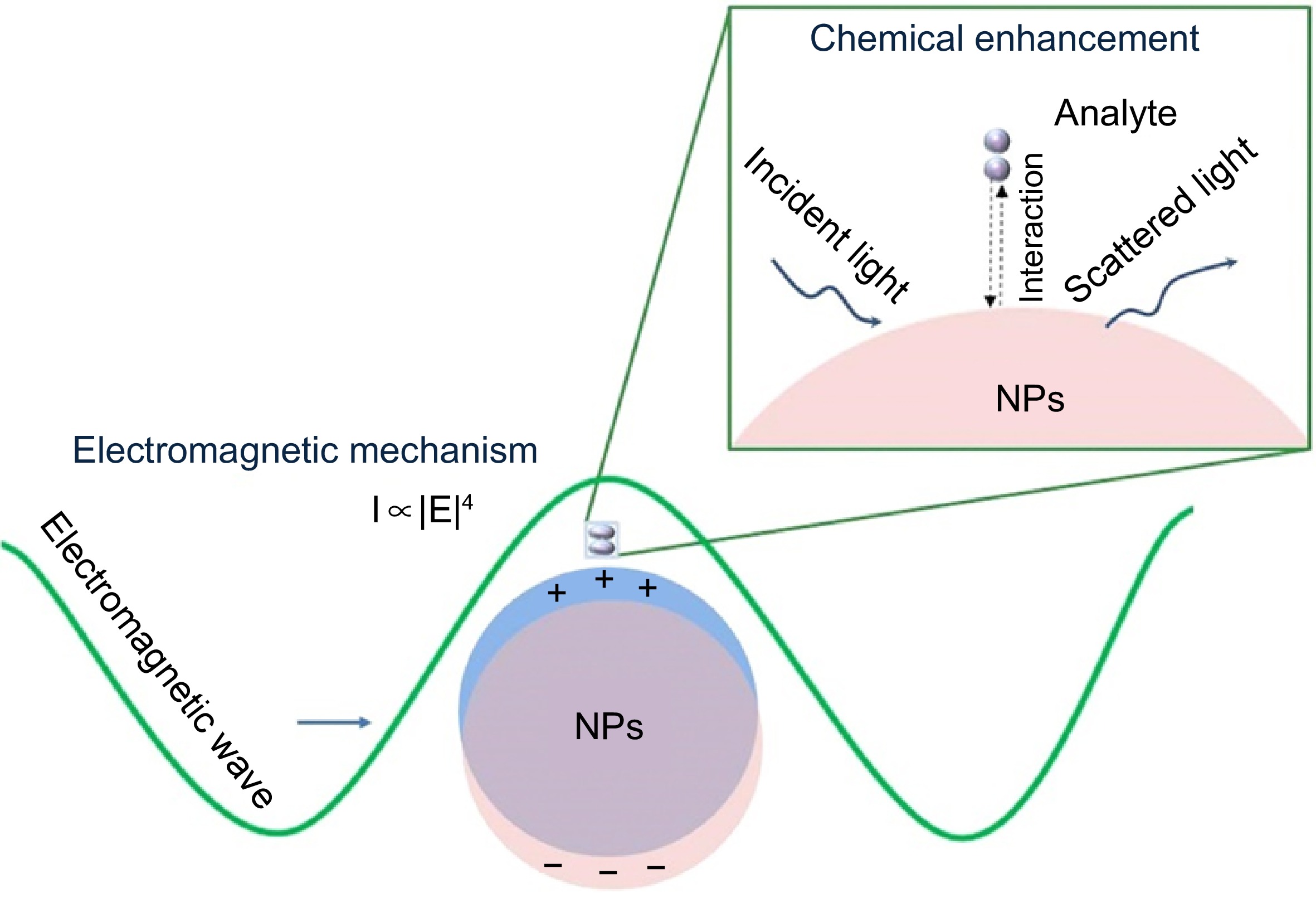 Recent advances on surface enhanced Raman spectroscopy in safety ...