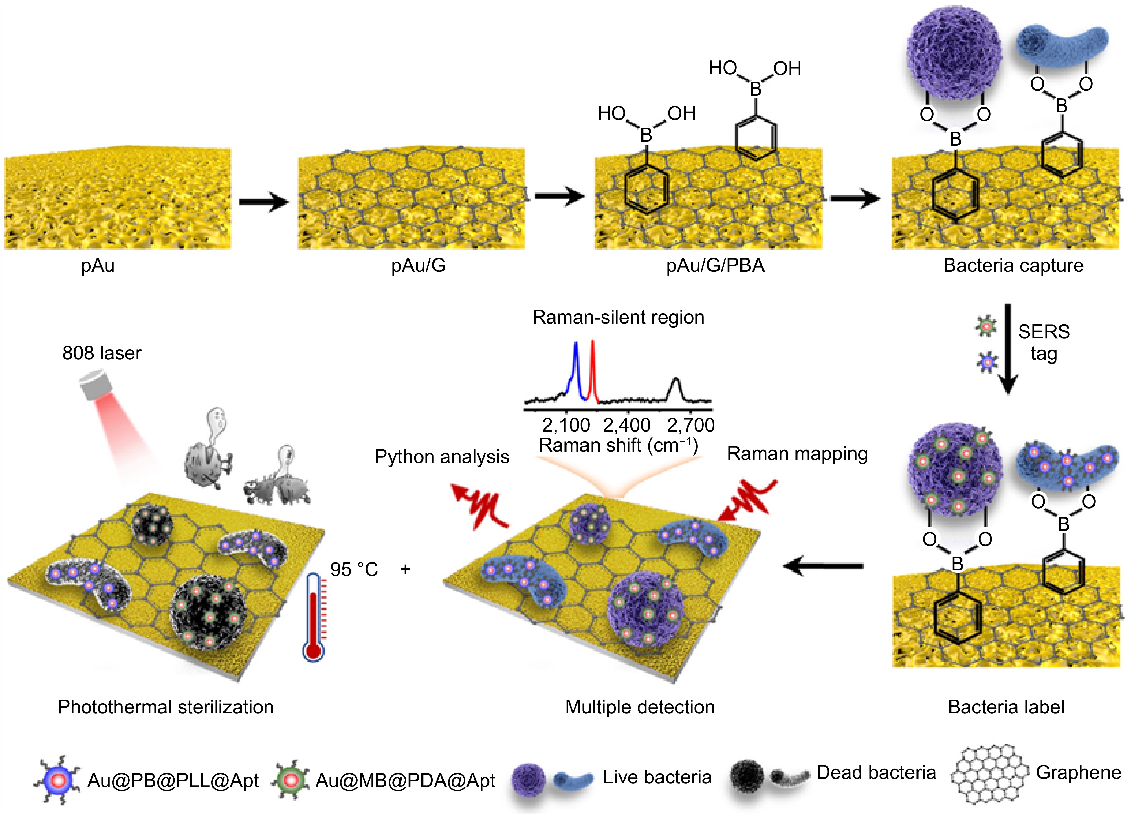 Recent advances on surface enhanced Raman spectroscopy in safety ...