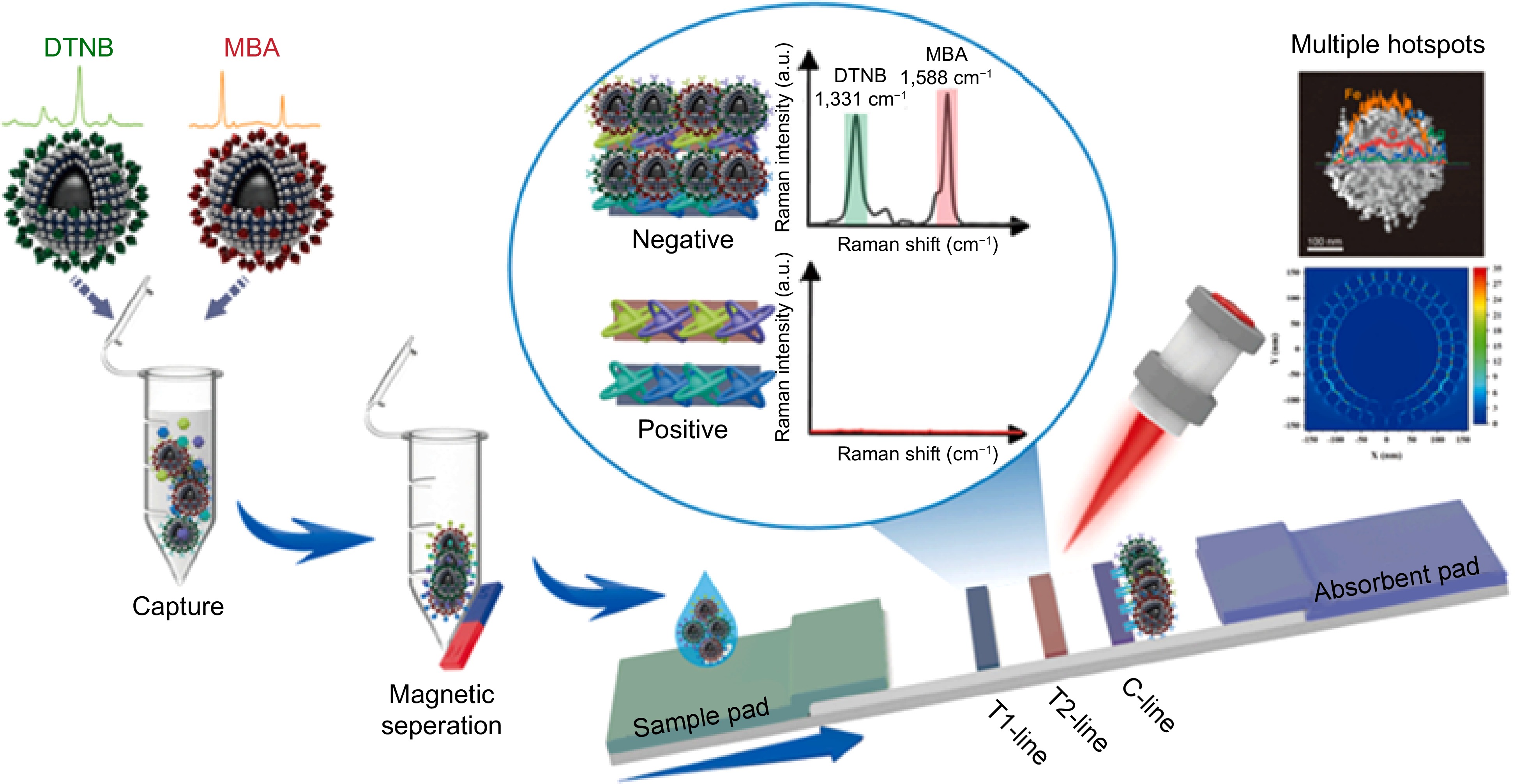 Recent advances on surface enhanced Raman spectroscopy in safety ...