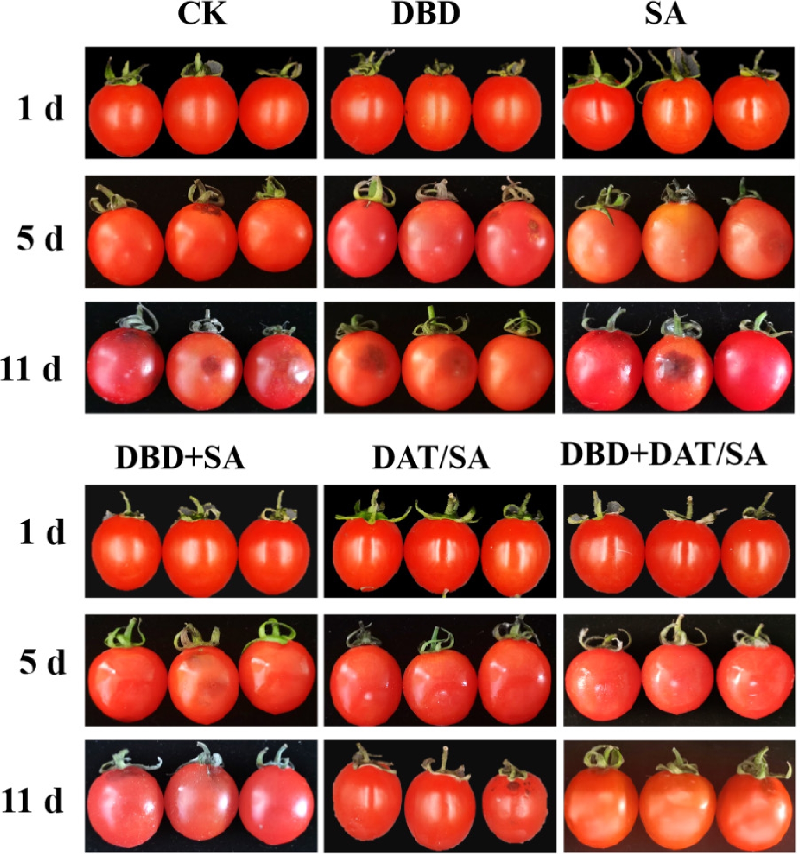 Synergistic preservation and pesticide degradation of cherry tomatoes ...