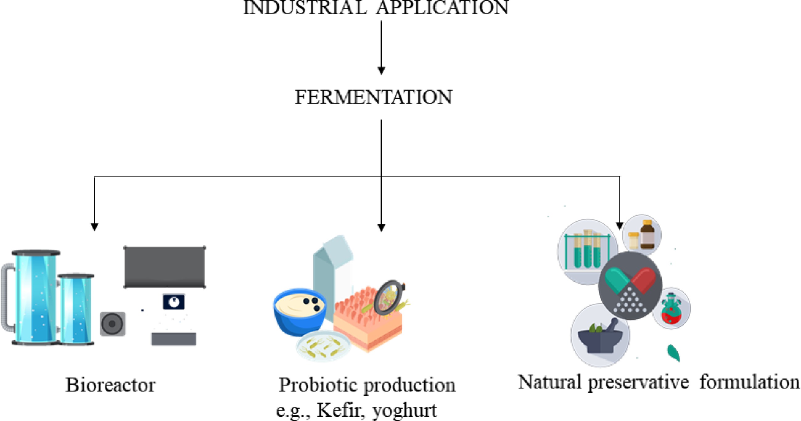 Microbial natural products as sustainable safeguards for food safety ...