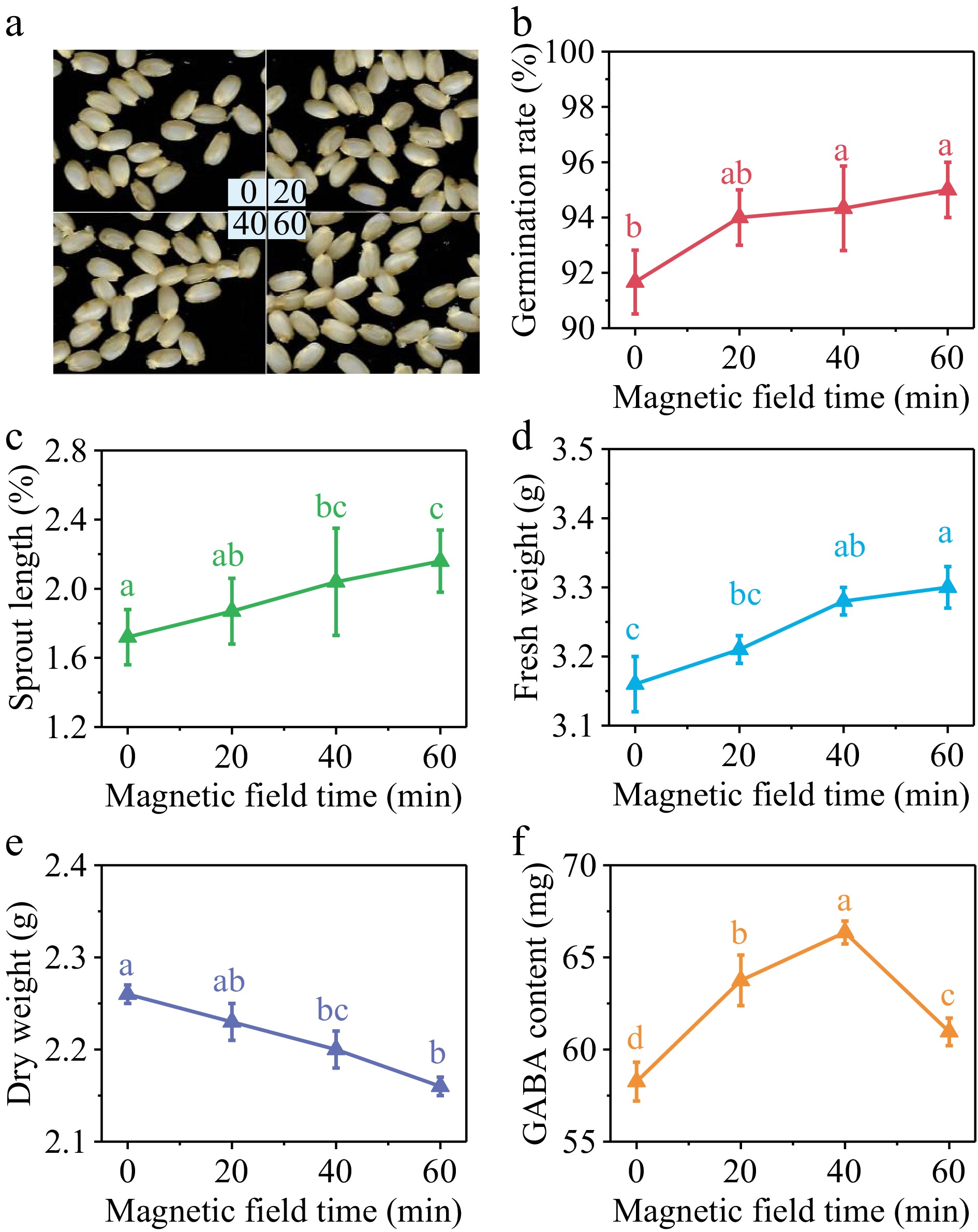 Effects of magnetic field pretreatment and chloride salts stress on ...