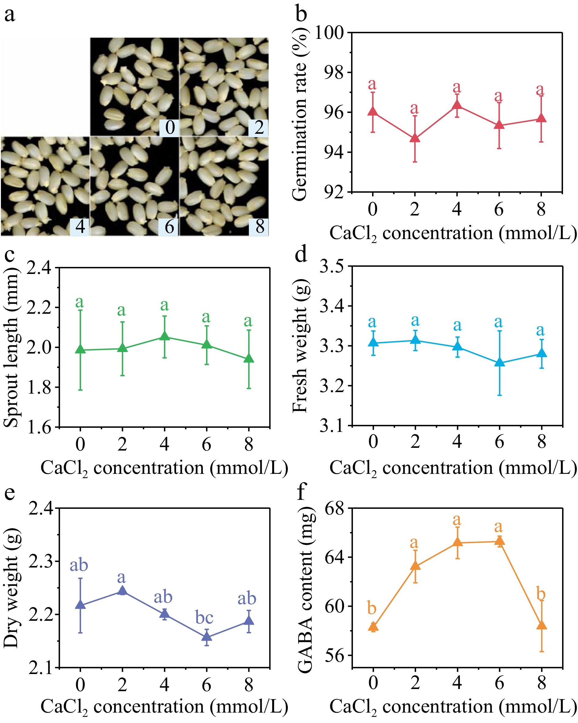 Effects of magnetic field pretreatment and chloride salts stress on ...