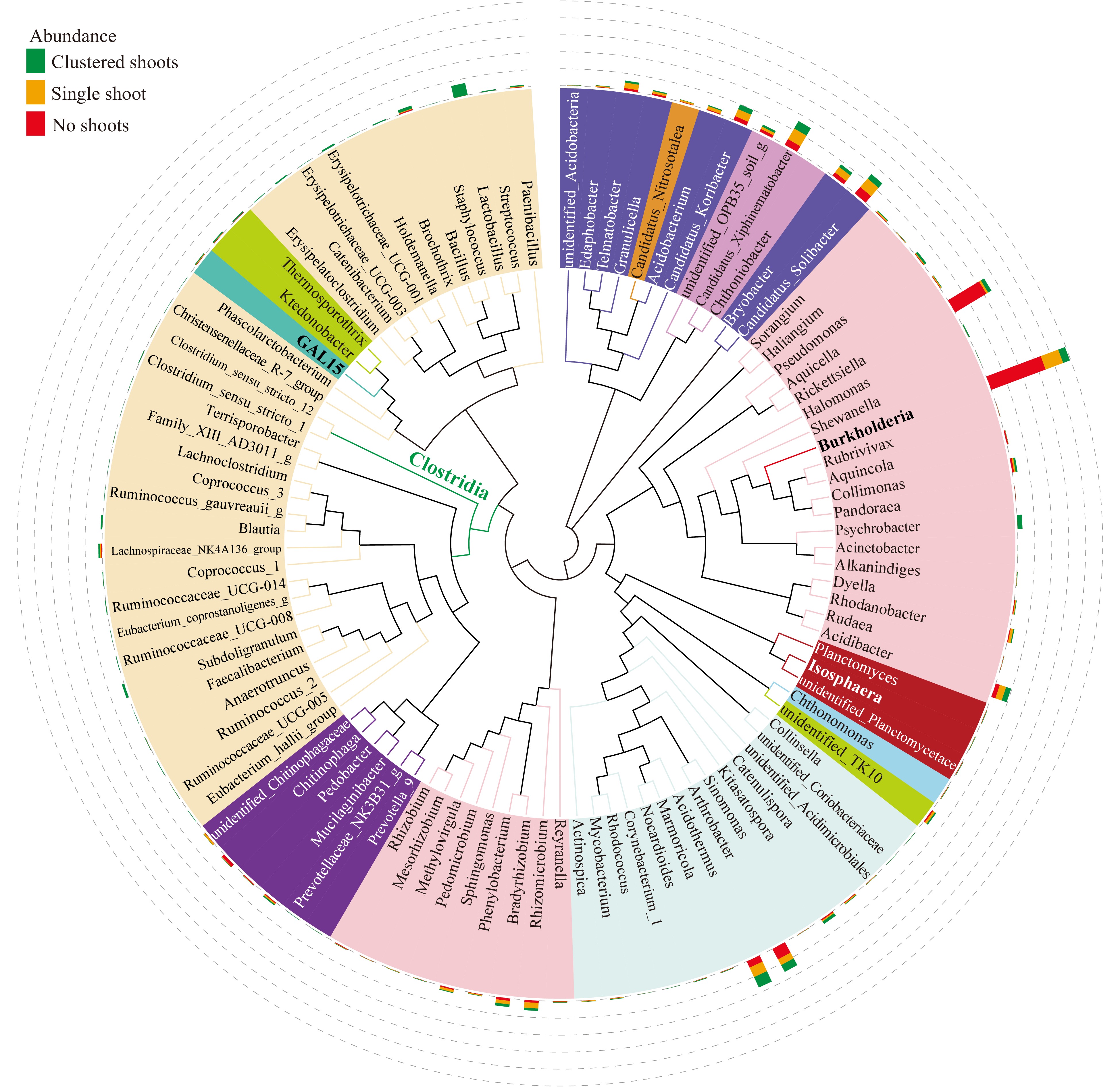 Case study of a rhizosphere microbiome assay on a bamboo rhizome with ...