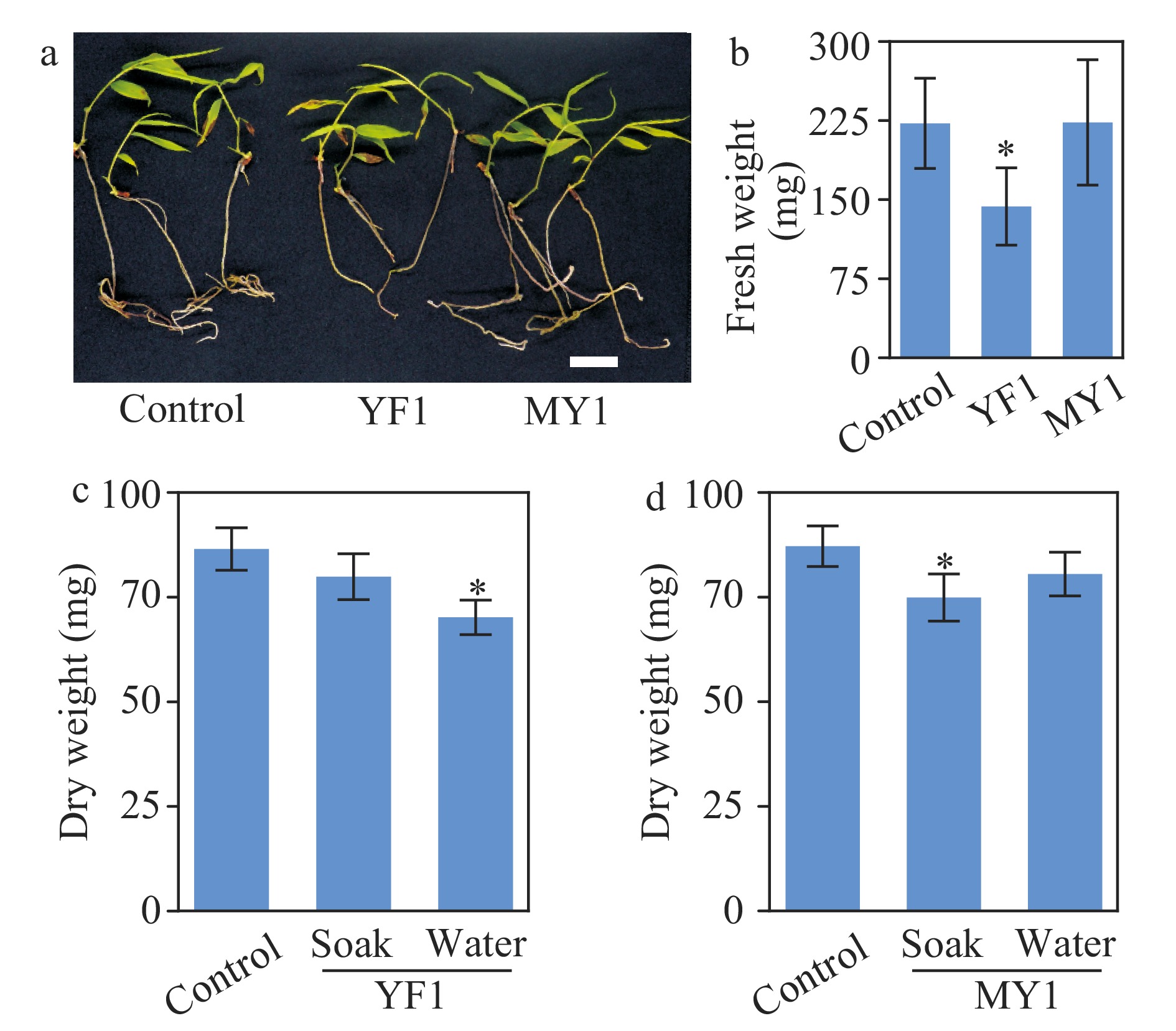 Case study of a rhizosphere microbiome assay on a bamboo rhizome with ...