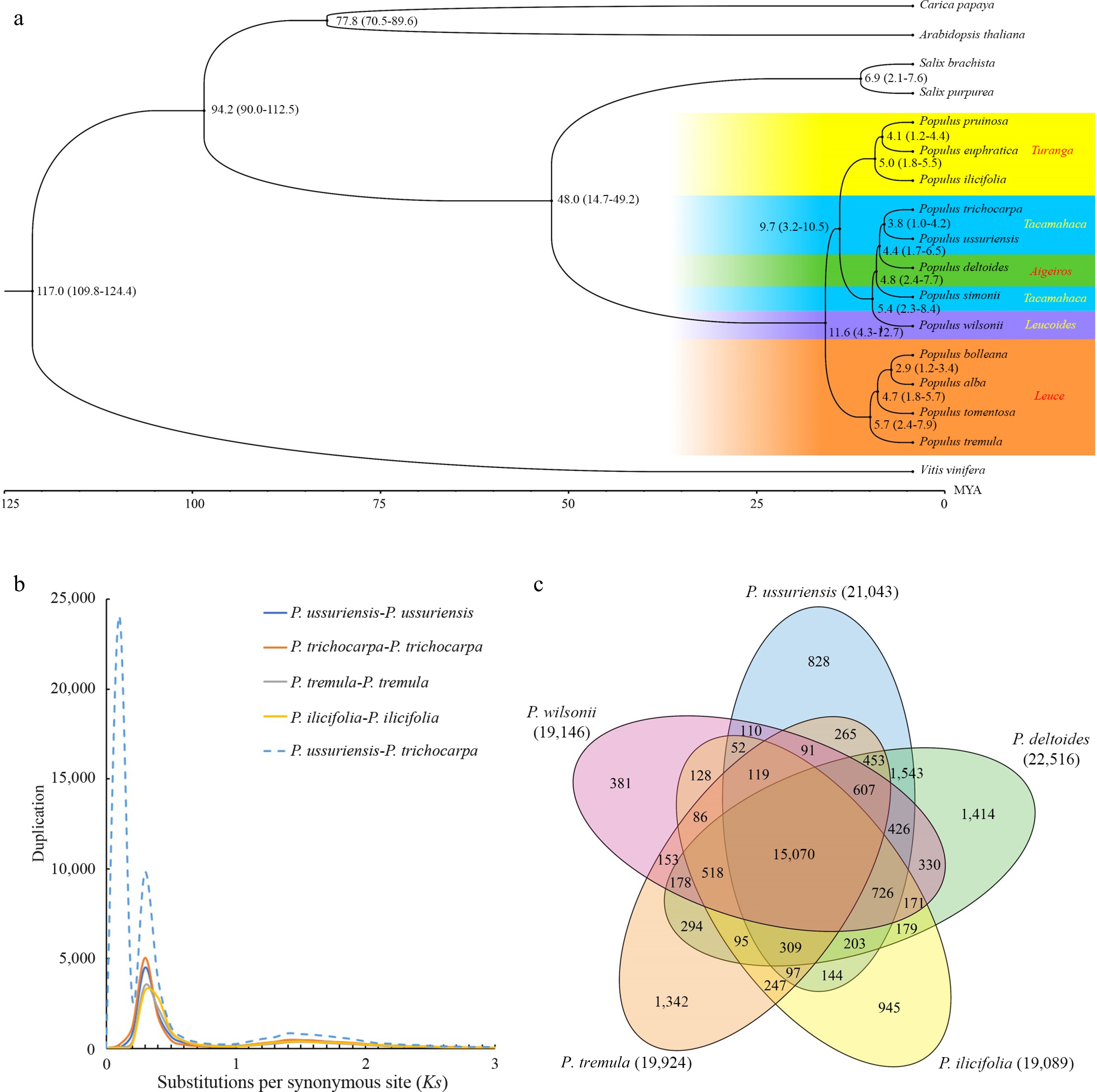 A nearly gapless, highly contiguous reference genome for a doubled ...