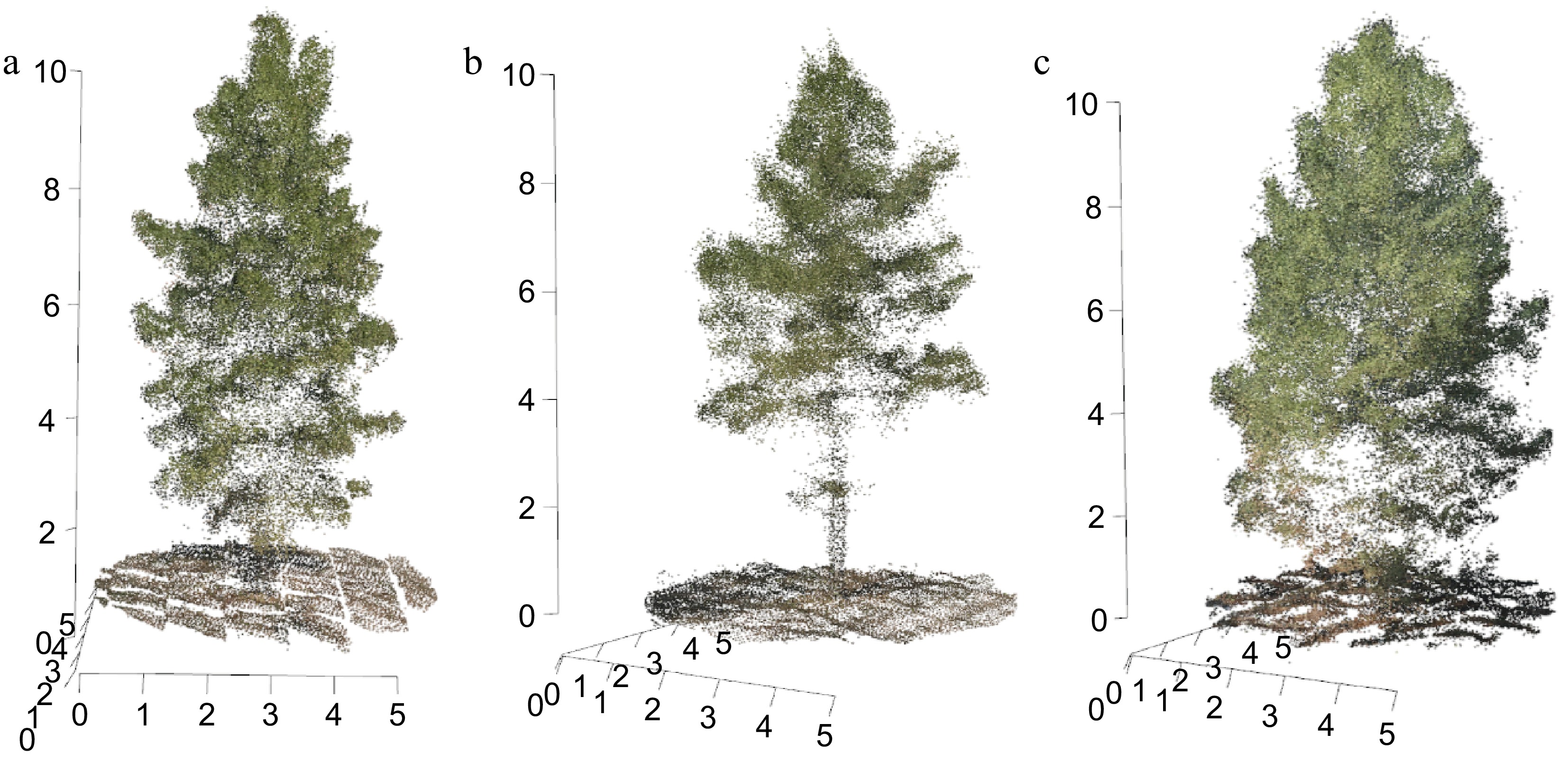 Enhancing genomic association studies in slash pine through close-range ...