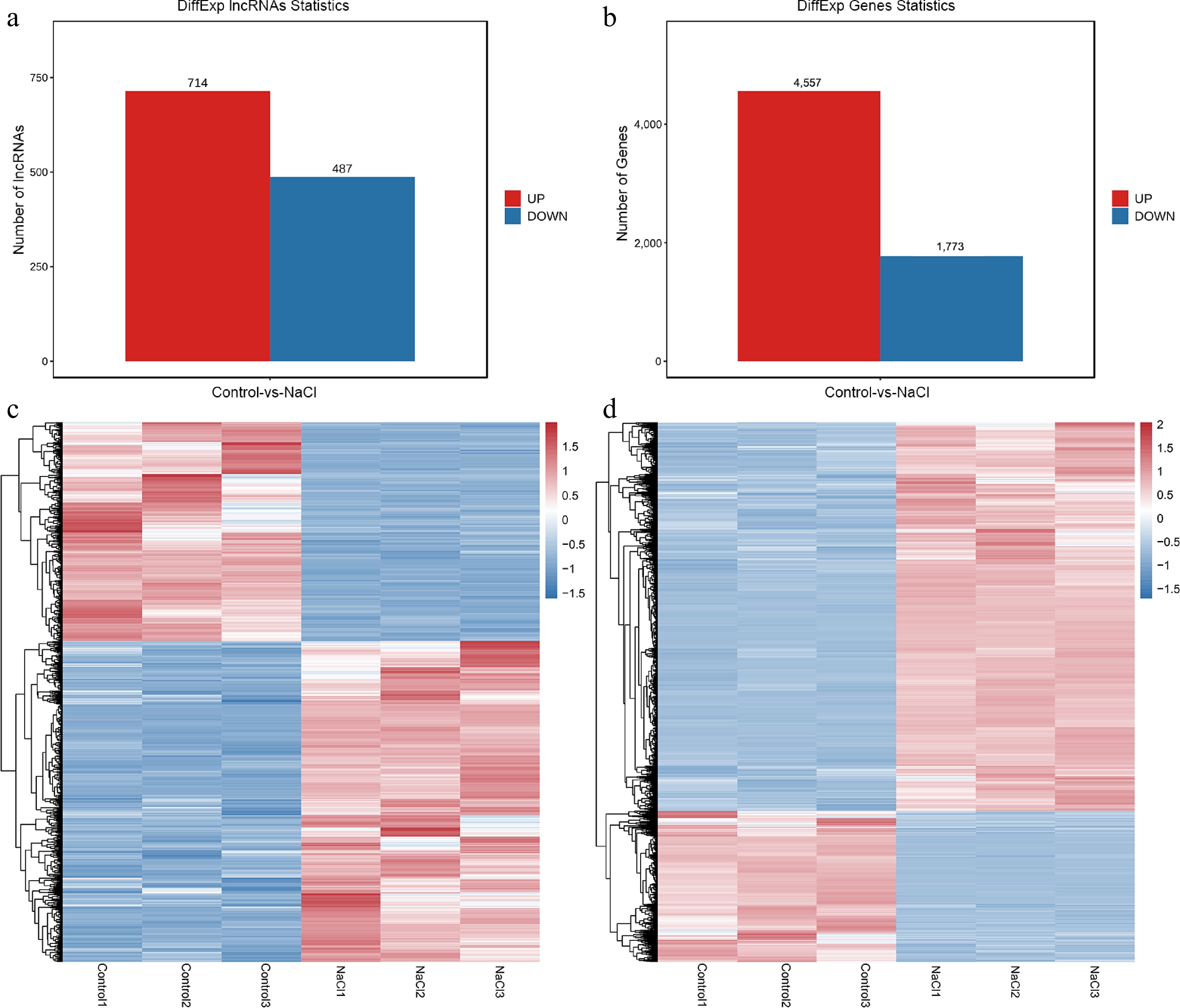 Identification and functional characterization of lncRNAs and mRNAs in ...