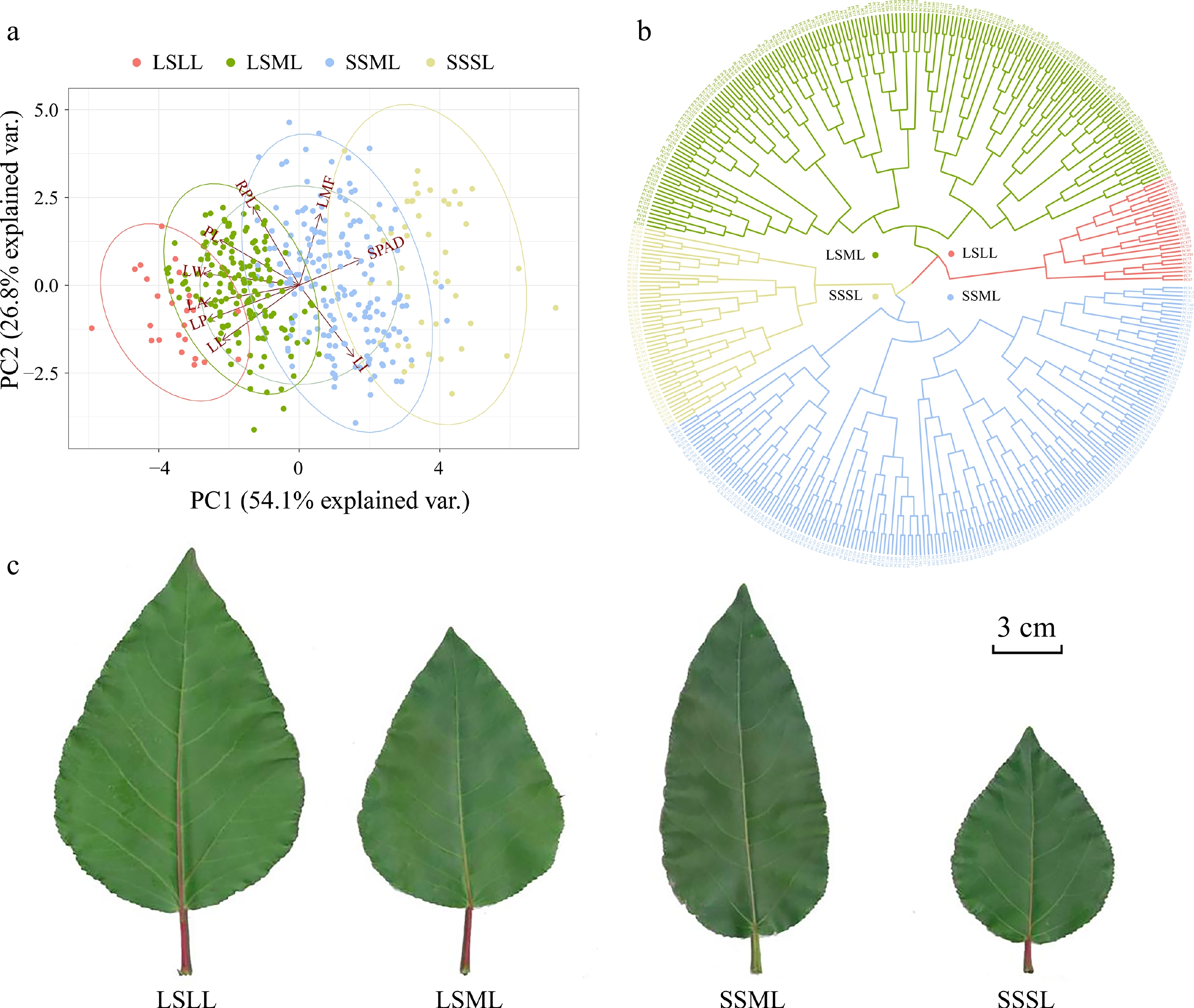 Selective sweep and GWAS provide insights into adaptive variation of ...