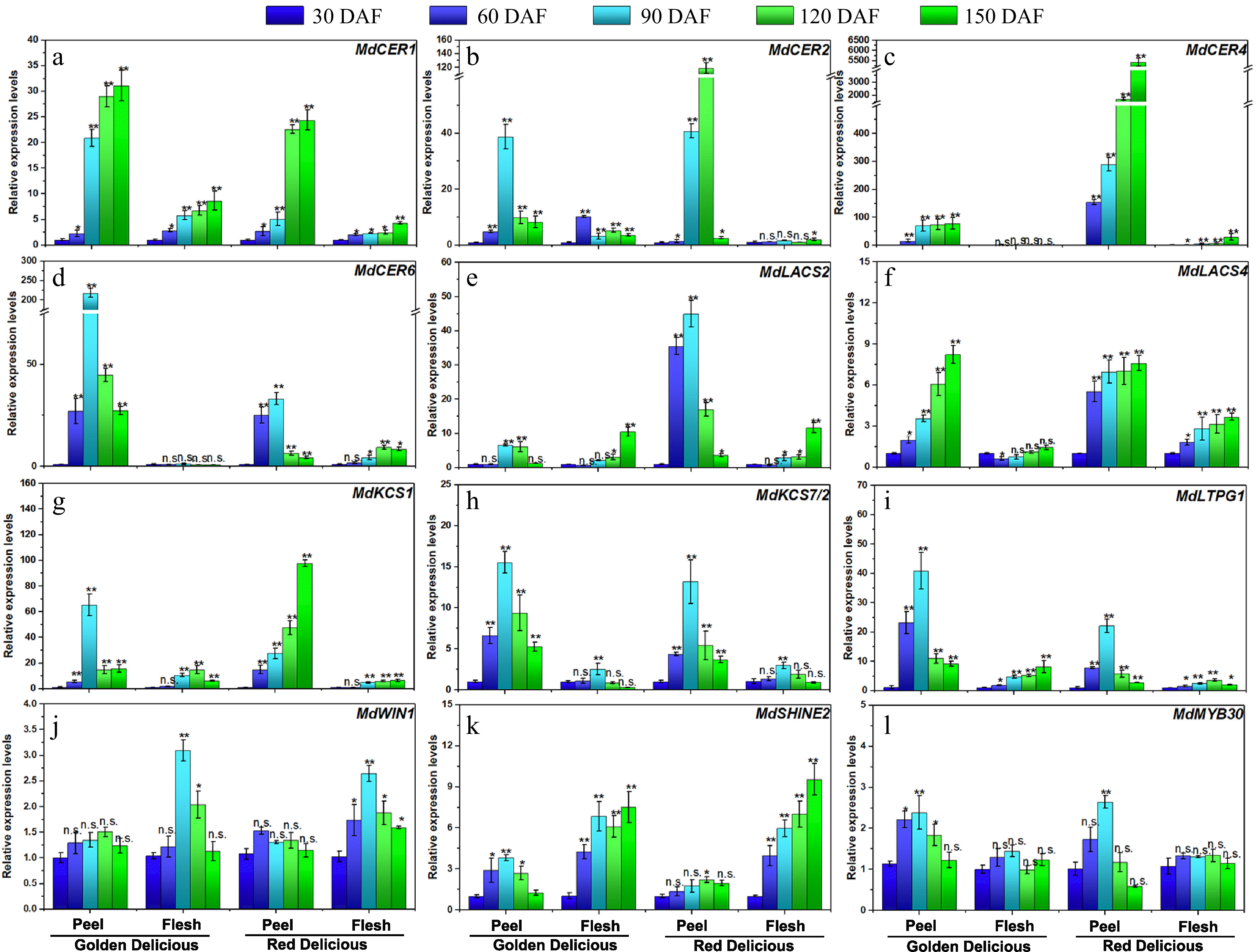Chemical composition and morphology of apple cuticular wax during fruit ...