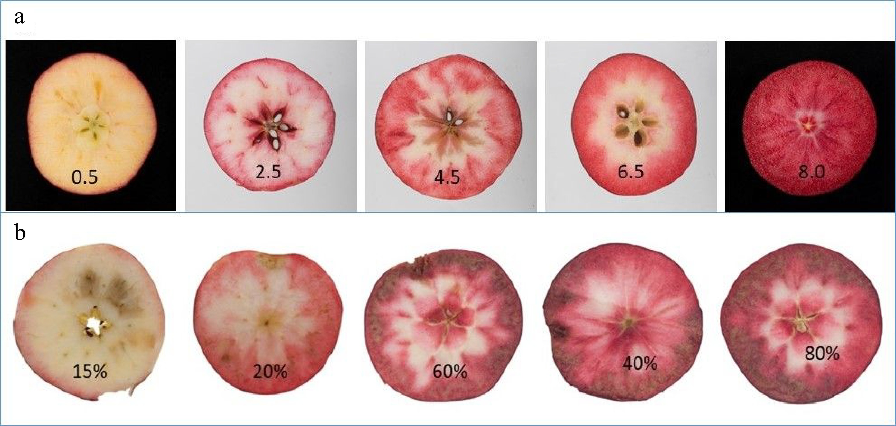Extremephenotype GWAS unravels a complex nexus between apple ( Malus