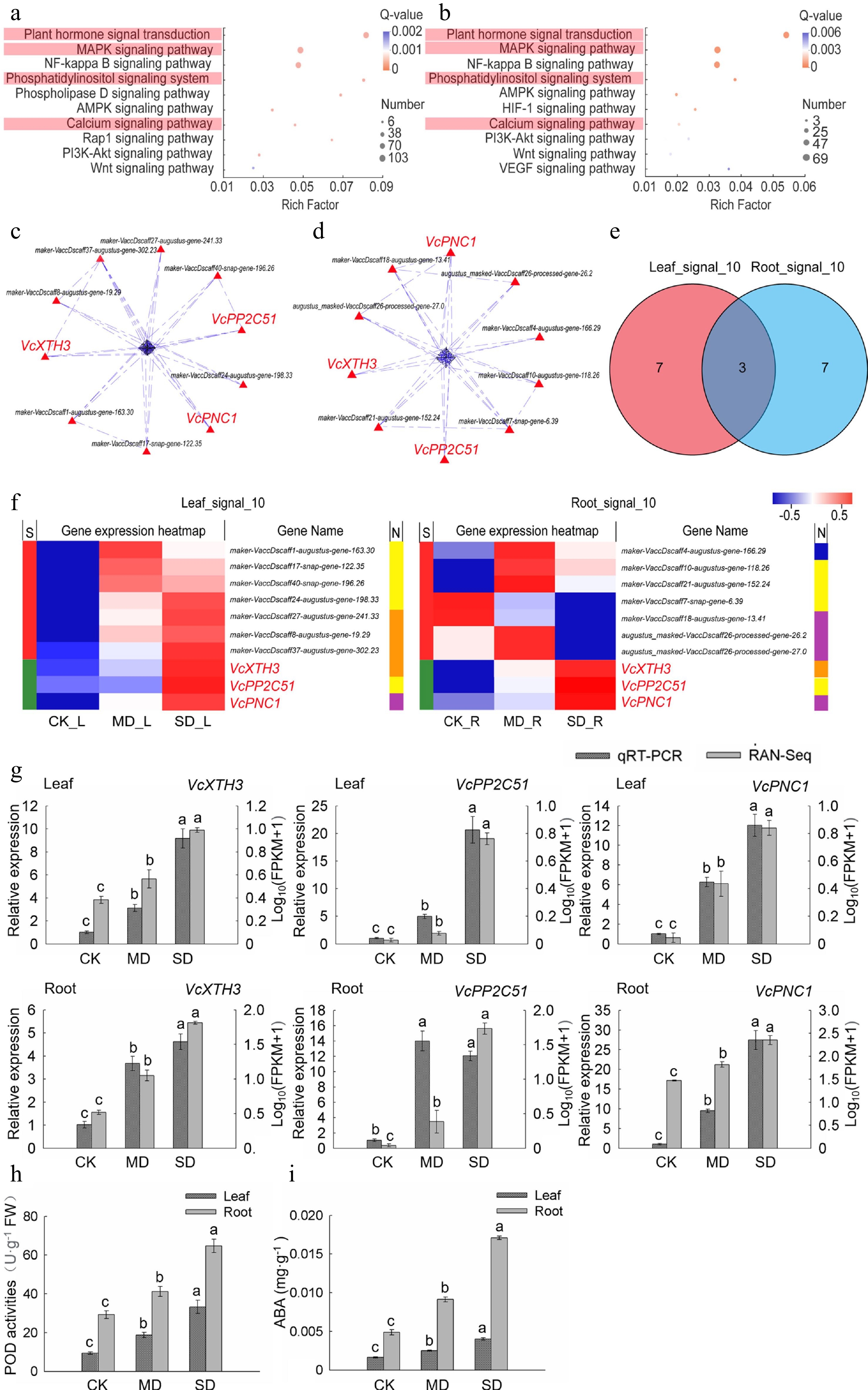 Comparative Transcriptome Profiling Reveals The Defense Pathways And ...