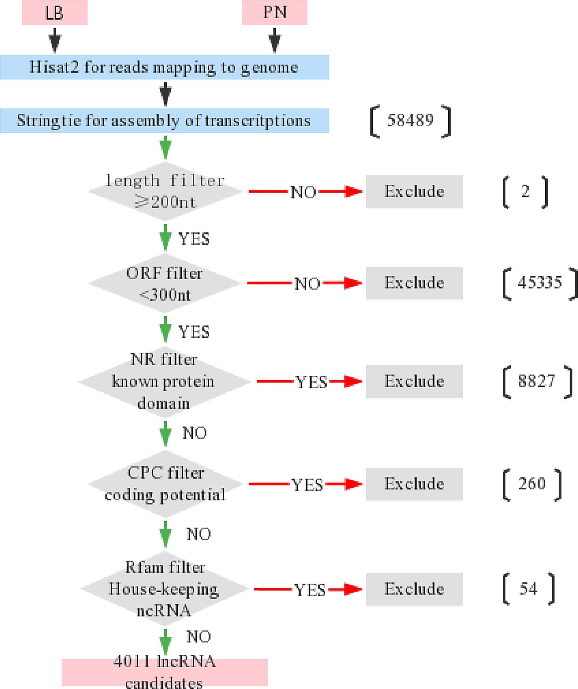 Identification of long non-coding RNAs in response to downy mildew ...