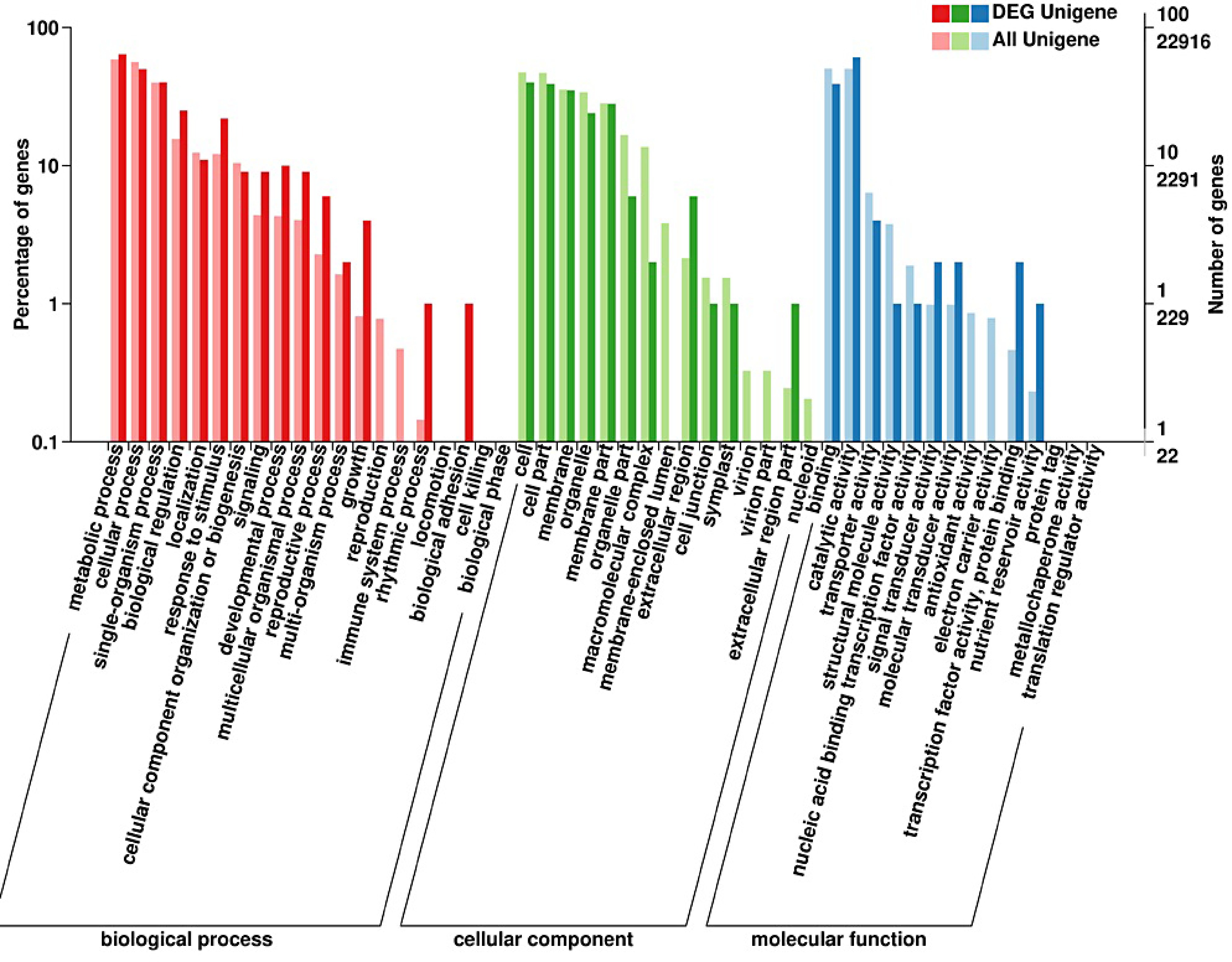 Positive effect of red/blue light supplementation on the photosynthetic ...